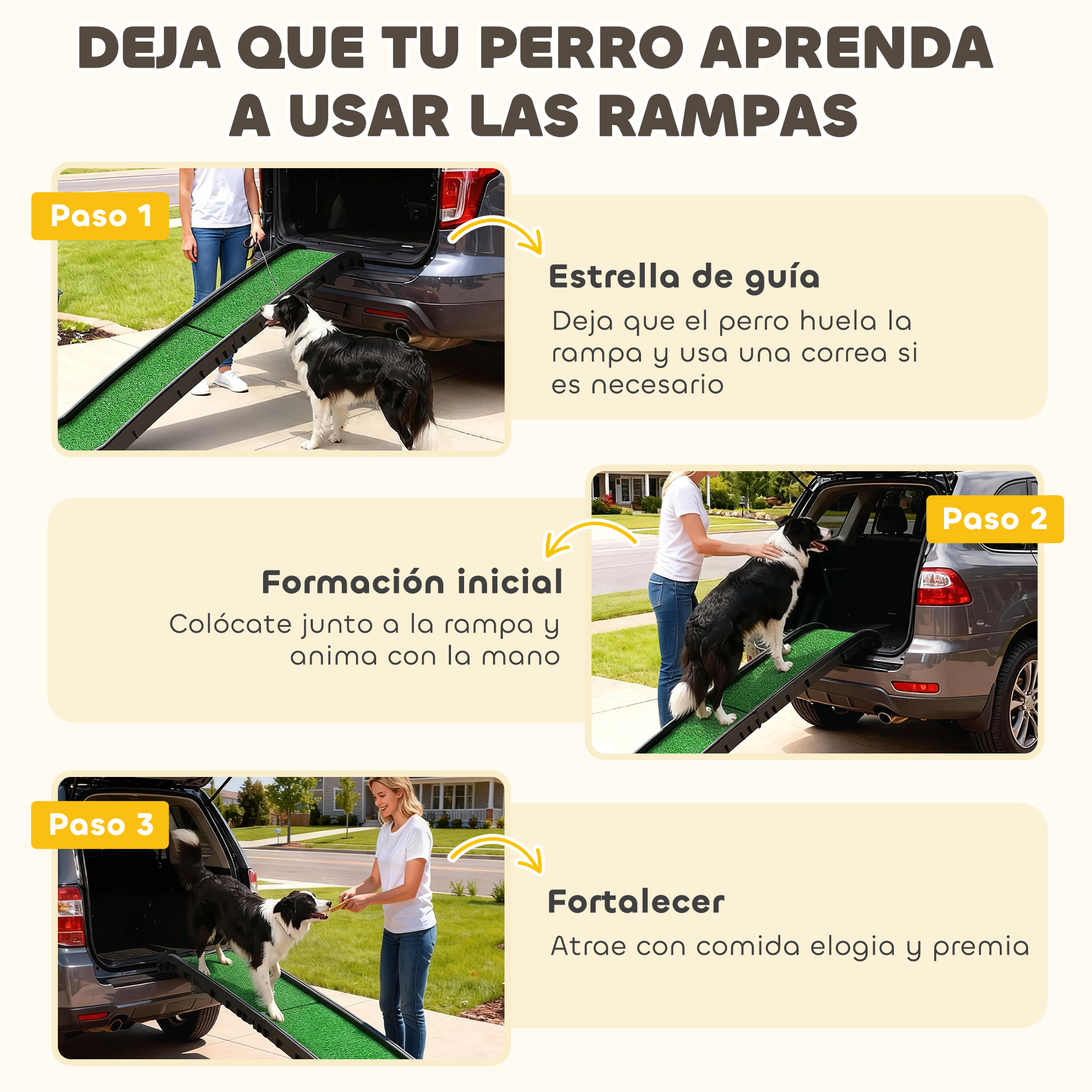 Paso 1: Perro aprende rampa. Paso 2: Perro en rampa. Paso 3: Recompensa.