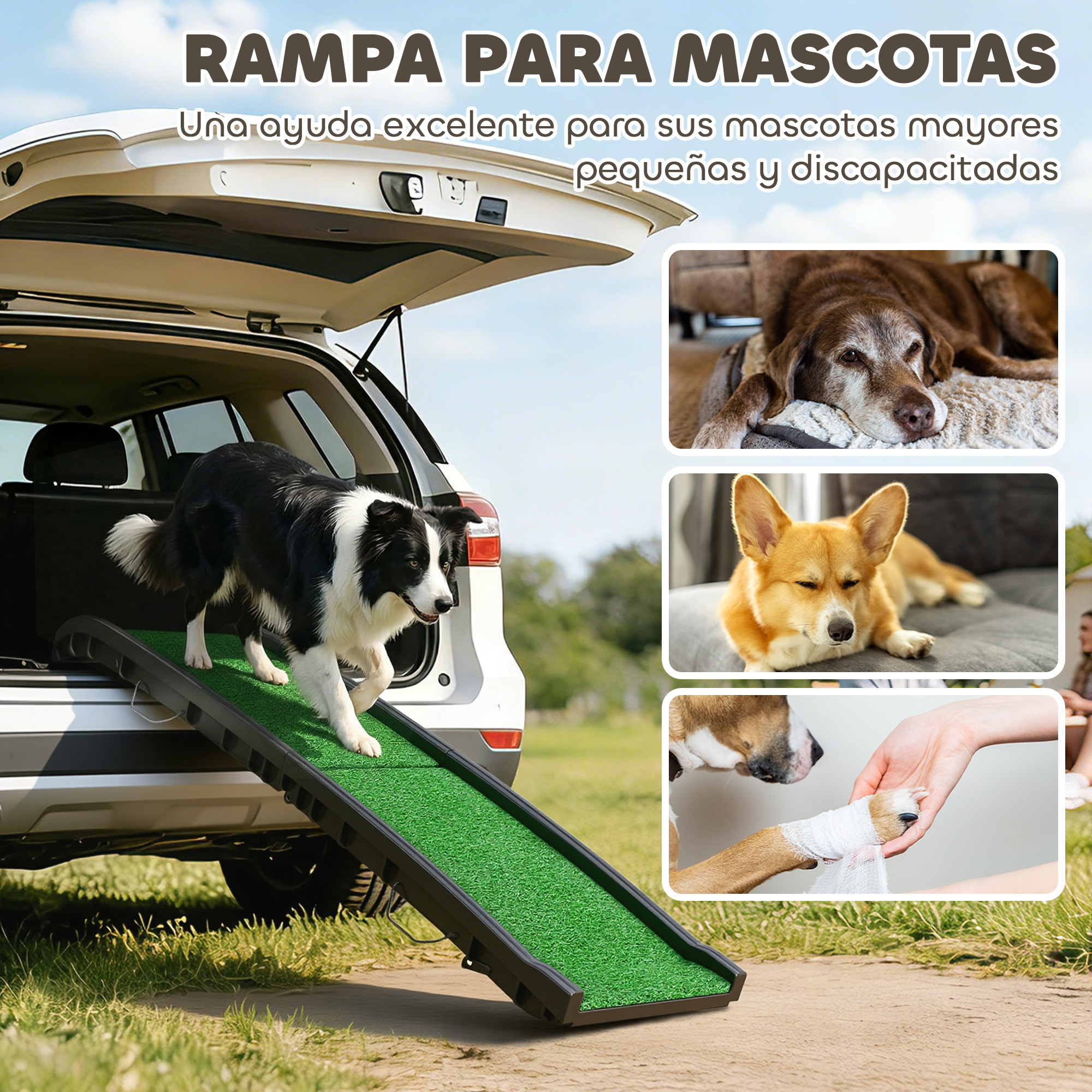 Un perro sube una rampa a un coche. Imágenes de perros. Texto: Rampa para mascotas.