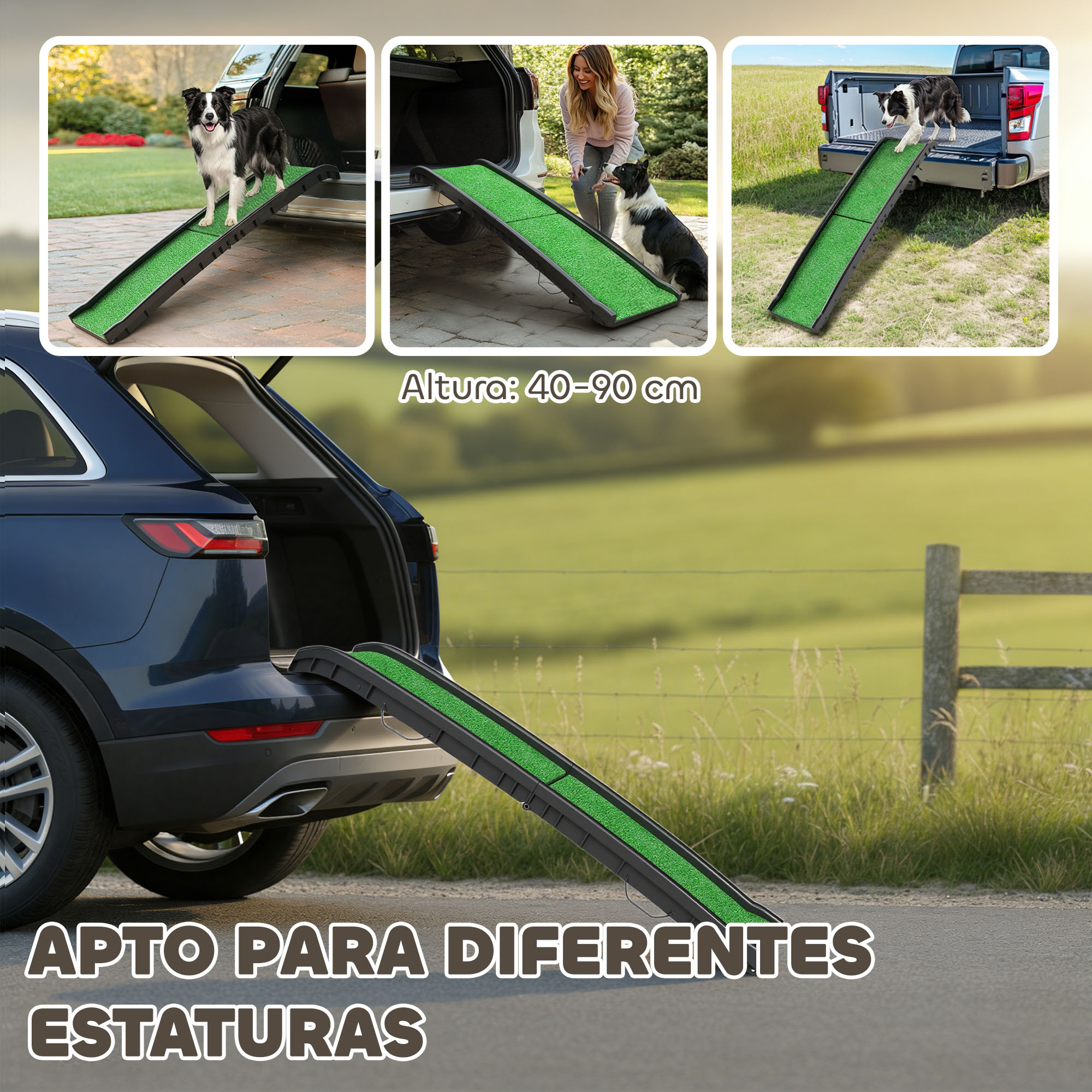 Rampa para perros para coches: Un perro está sobre una rampa que entra en un coche.
