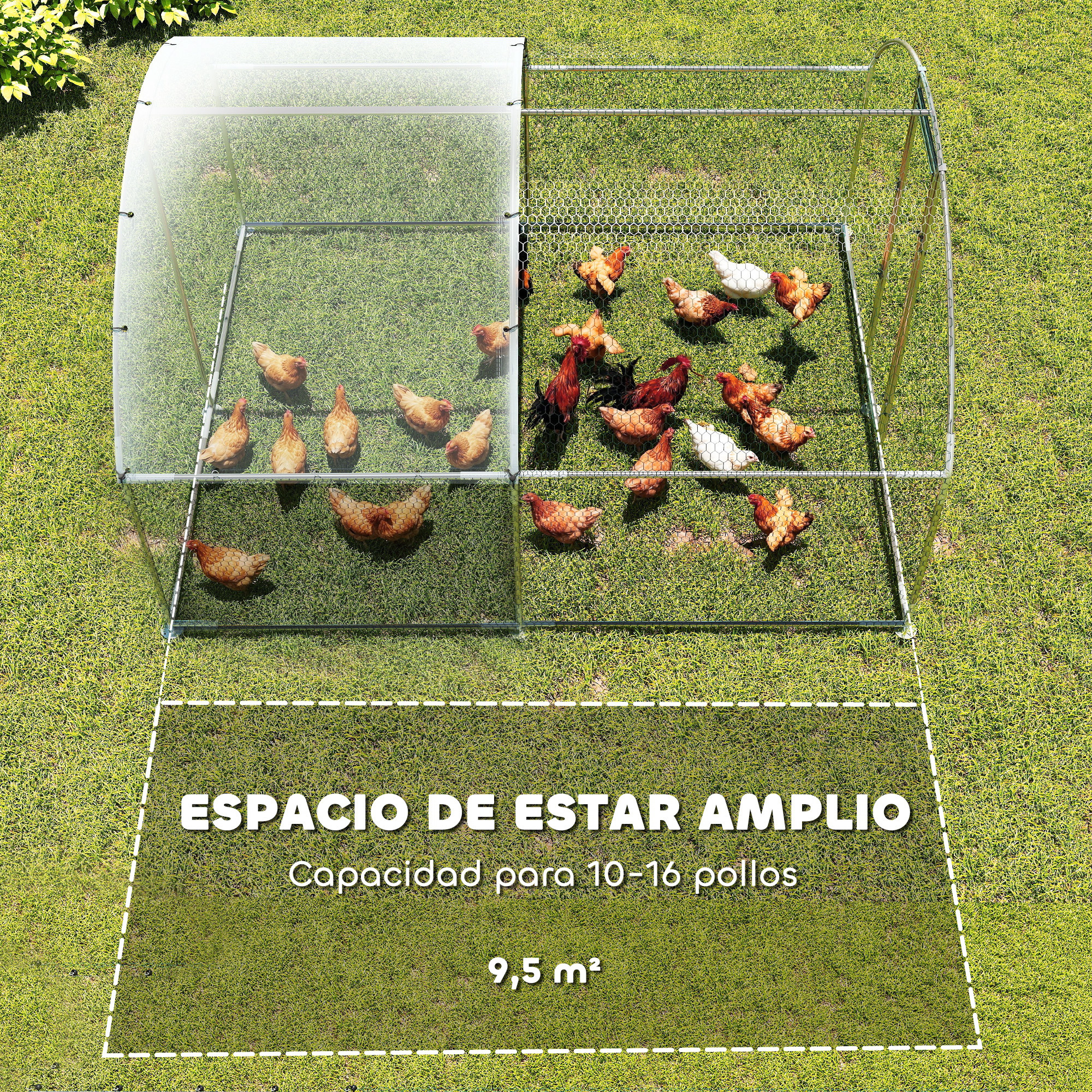 Un gallinero con varios pollos y gallos sobre hierba.