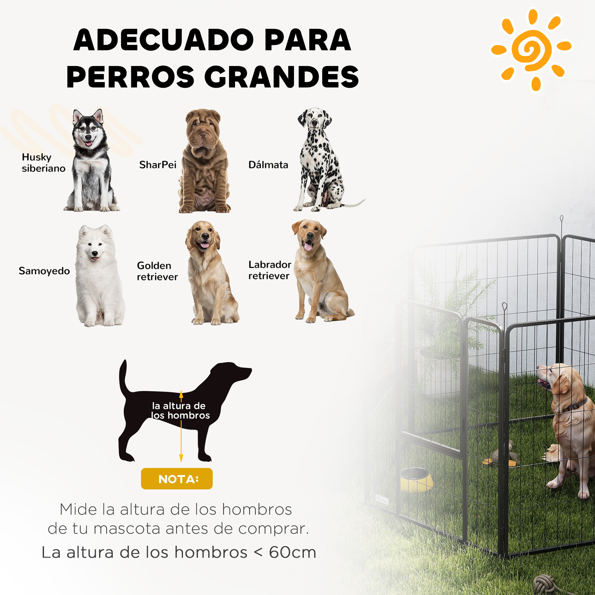 Ilustración de razas de perros para perros grandes y medidas.