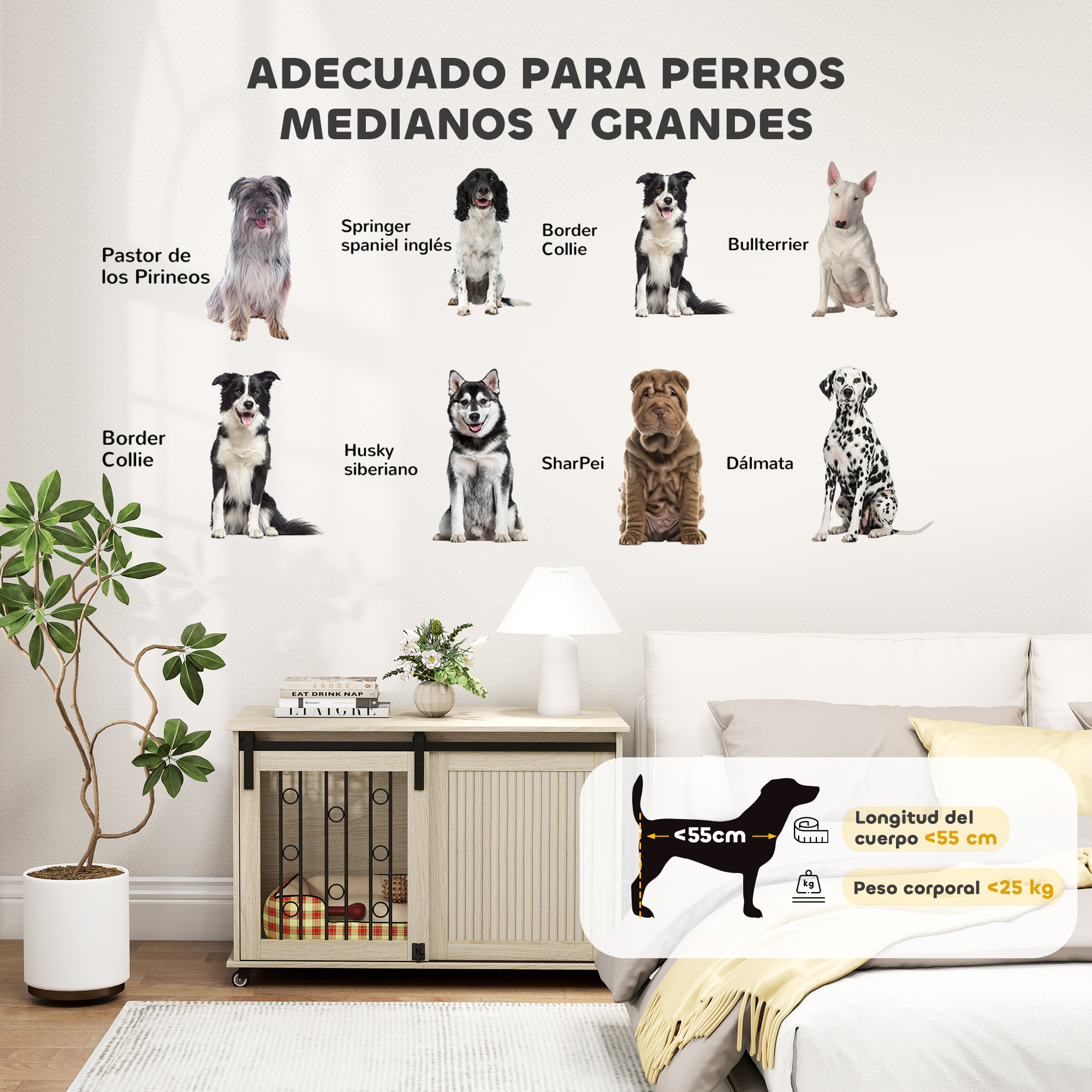 Varias razas de perros adecuadas para perros medianos y grandes.