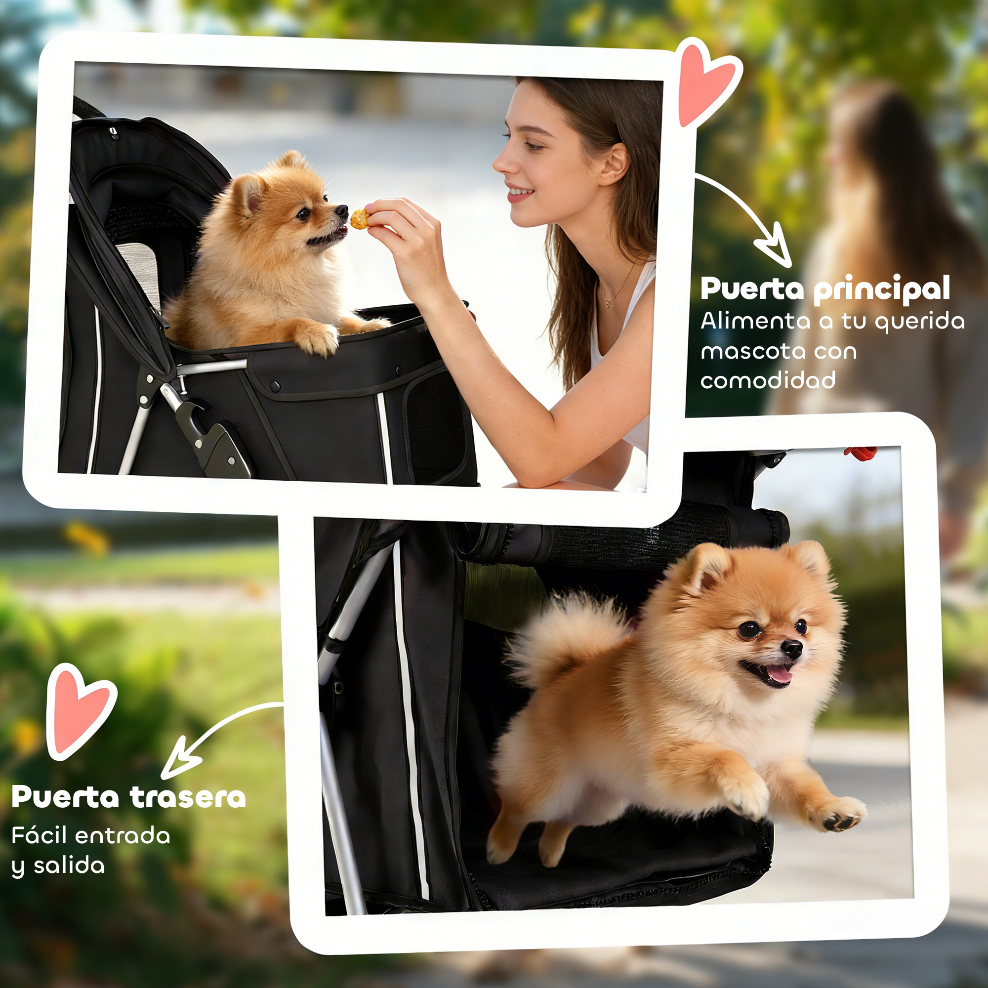 Un Pomerania en un cochecito, alimentado por una mujer.