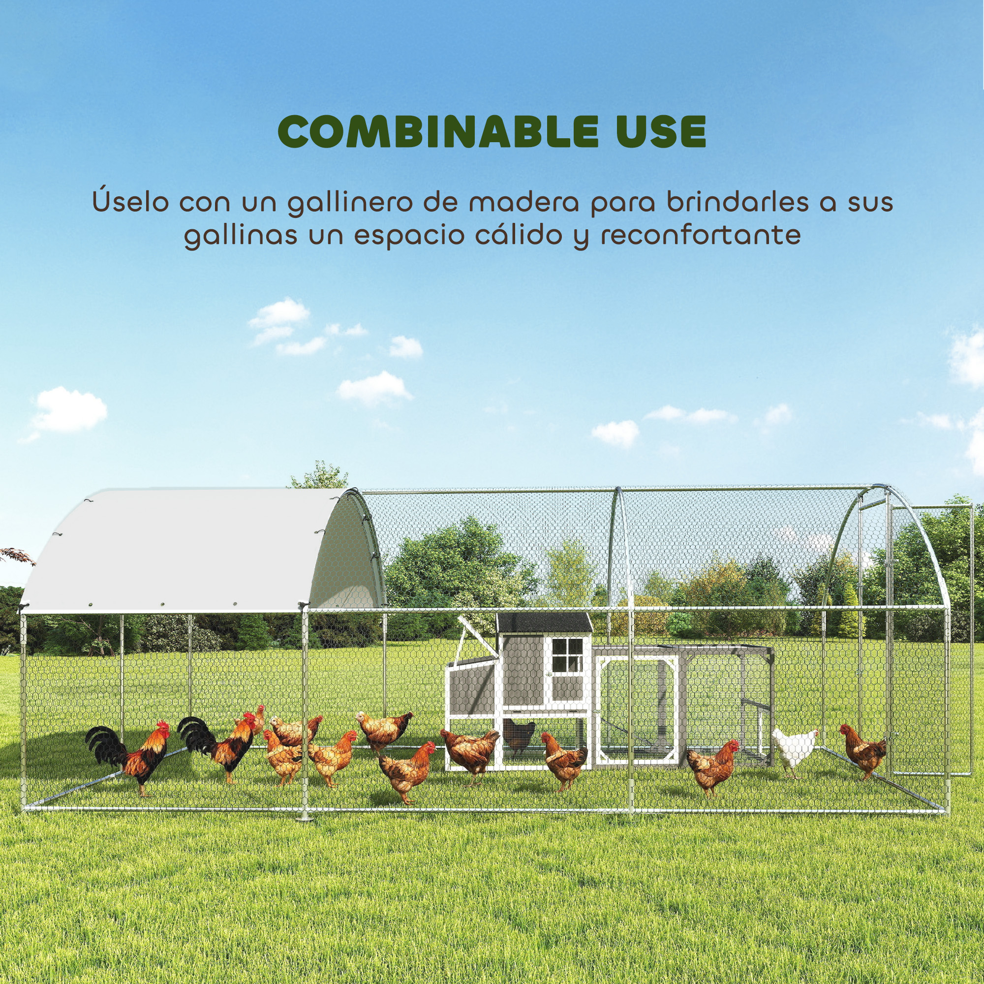 Un gallinero con varias gallinas sobre hierba verde bajo un cielo azul.