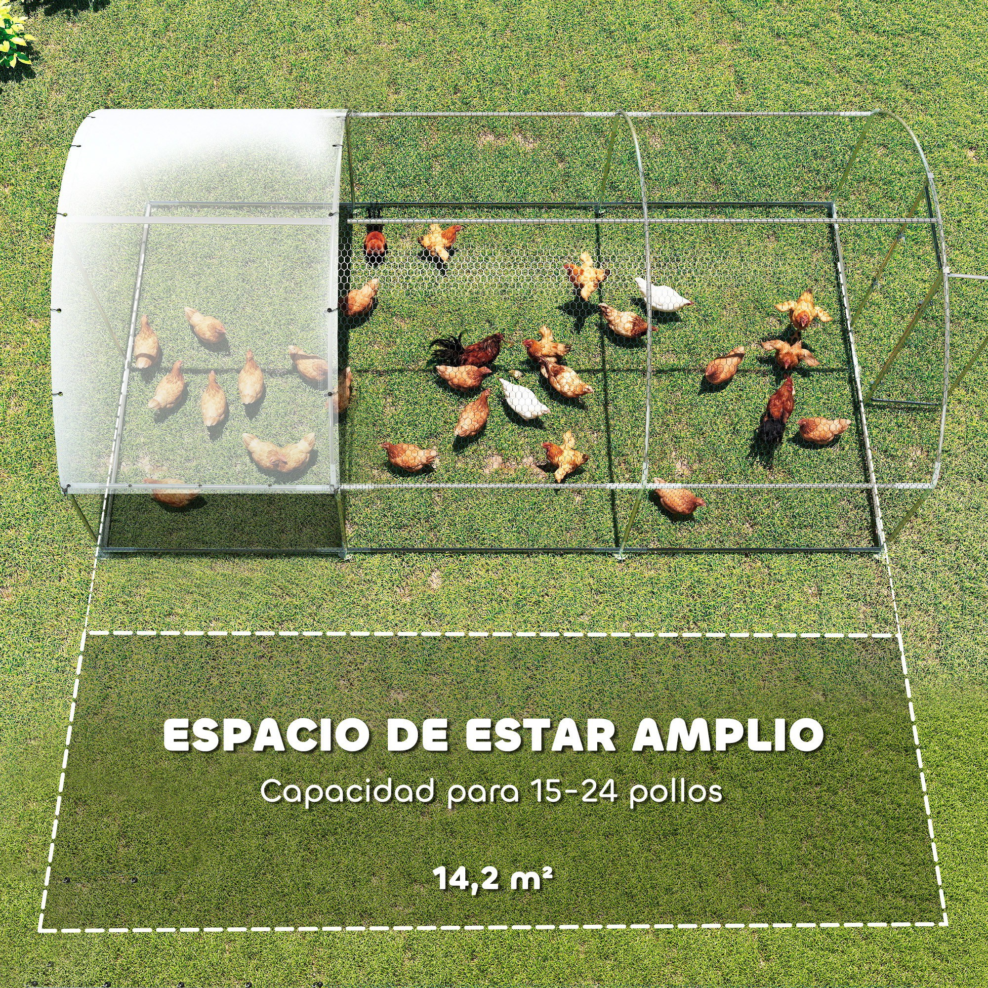 Gallinero con varias gallinas sobre césped verde, texto superpuesto.