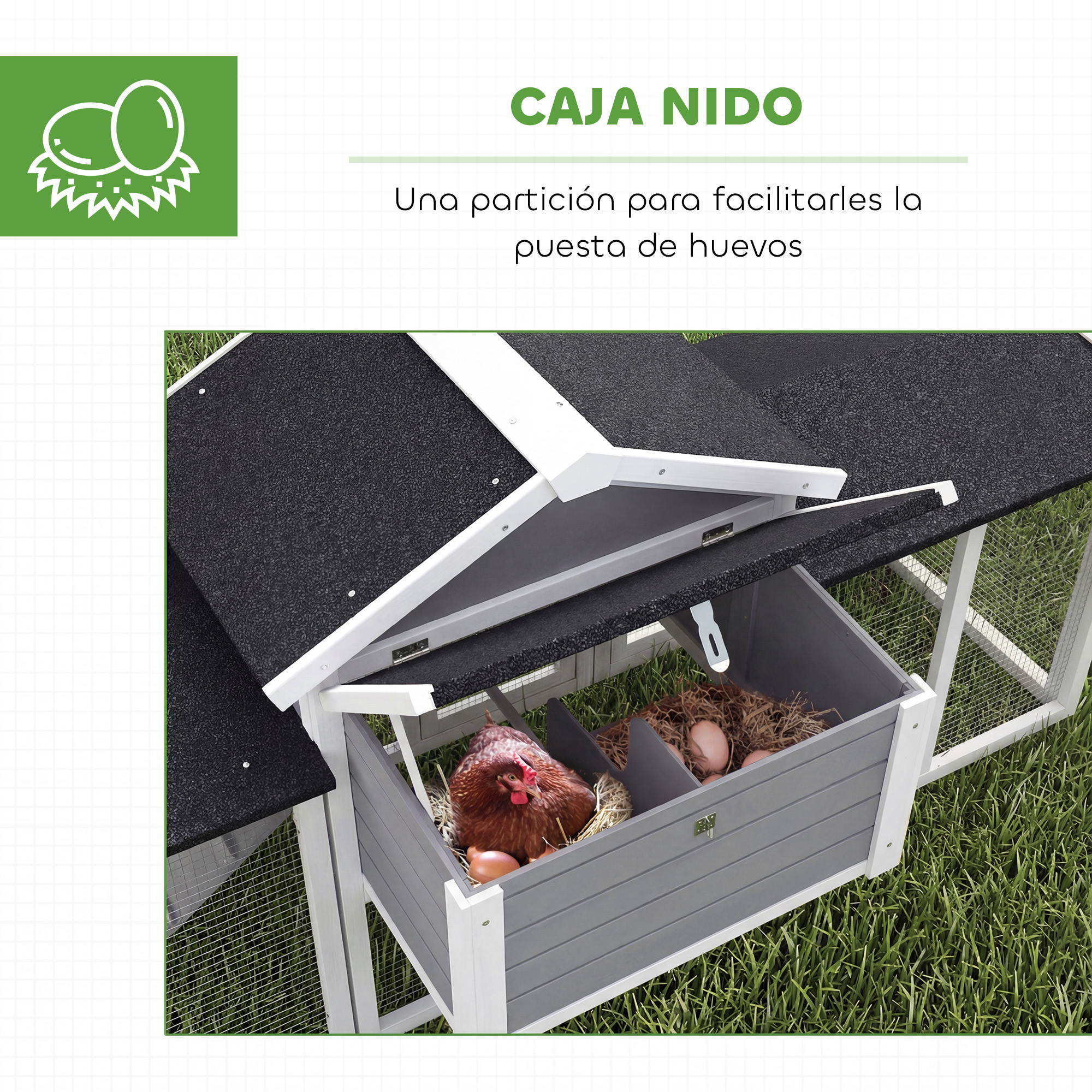 Gallinero con nidos, donde una gallina se sienta sobre huevos.