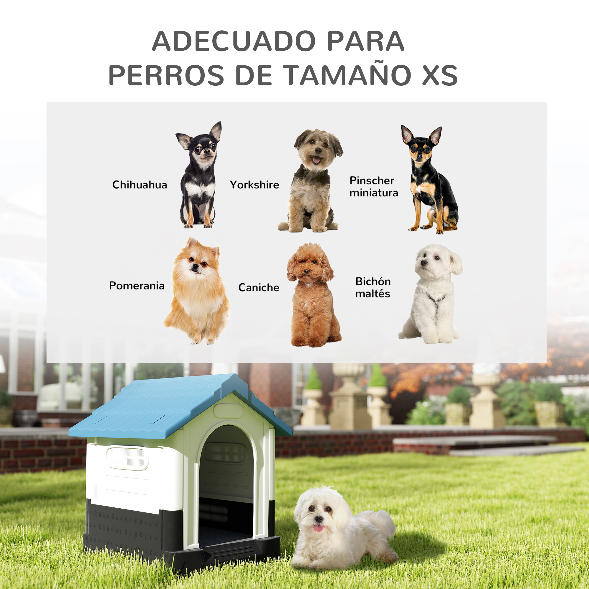 Seis perros pequeños y una caseta para perros en un jardín.