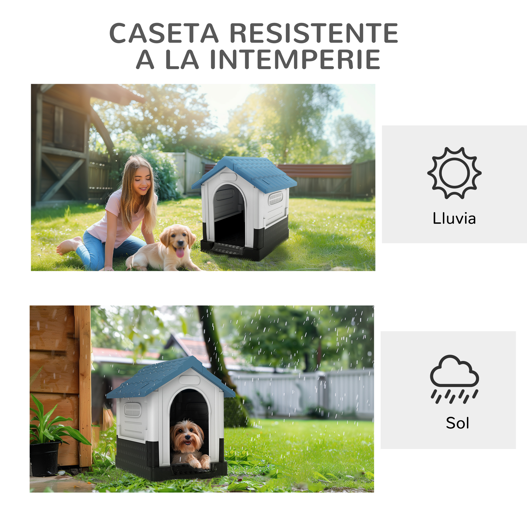 Un perro en una caseta bajo la lluvia y un cachorro junto a una caseta al sol.