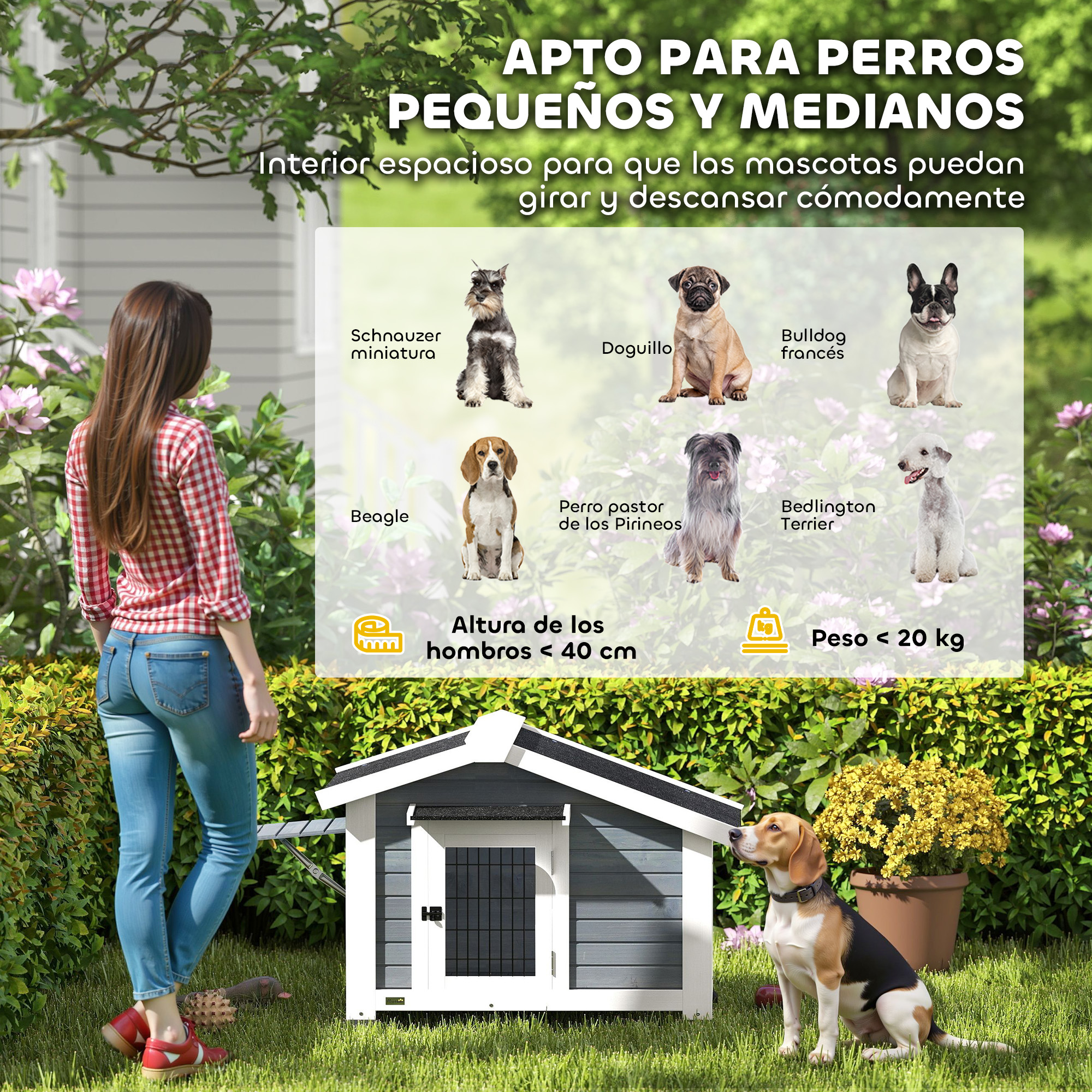 Una exhibición de casetas para perros con varias razas y una mujer.