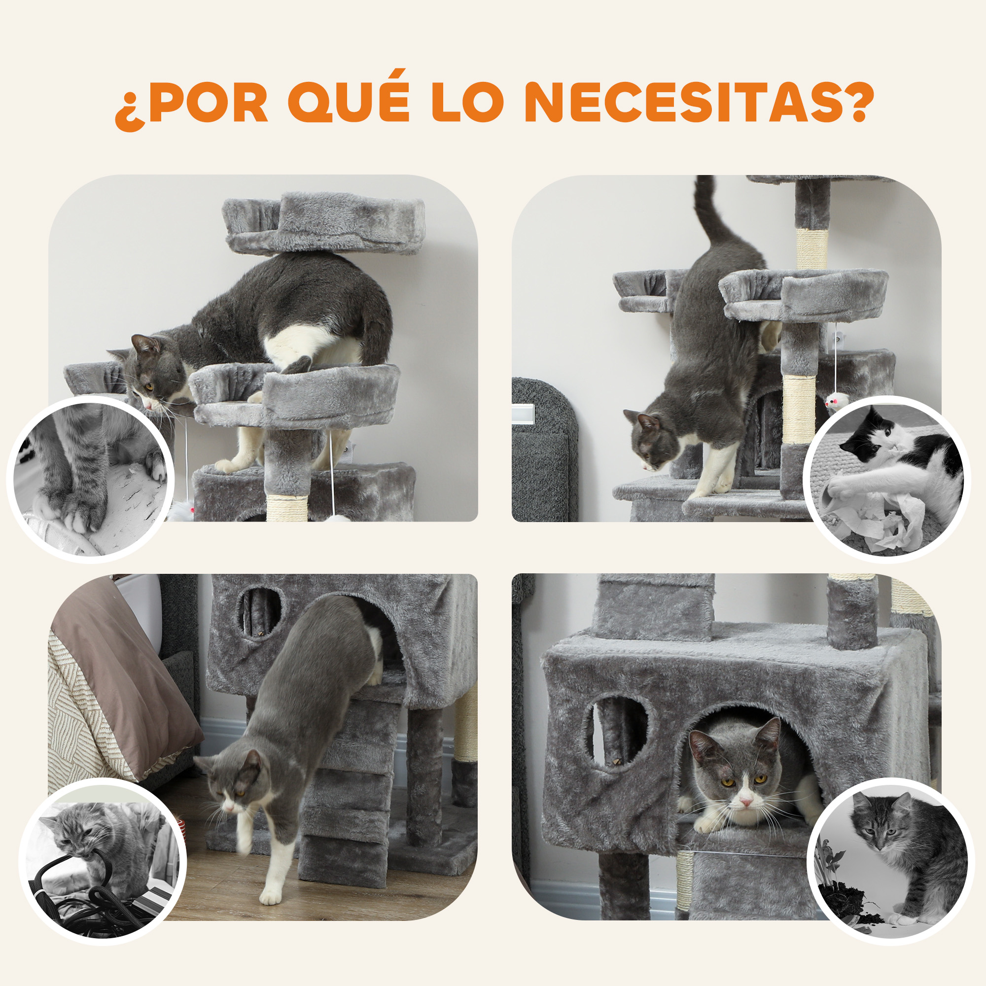 Múltiples gatos interactuando con árboles para gatos, algunos jugando, otros descansando.