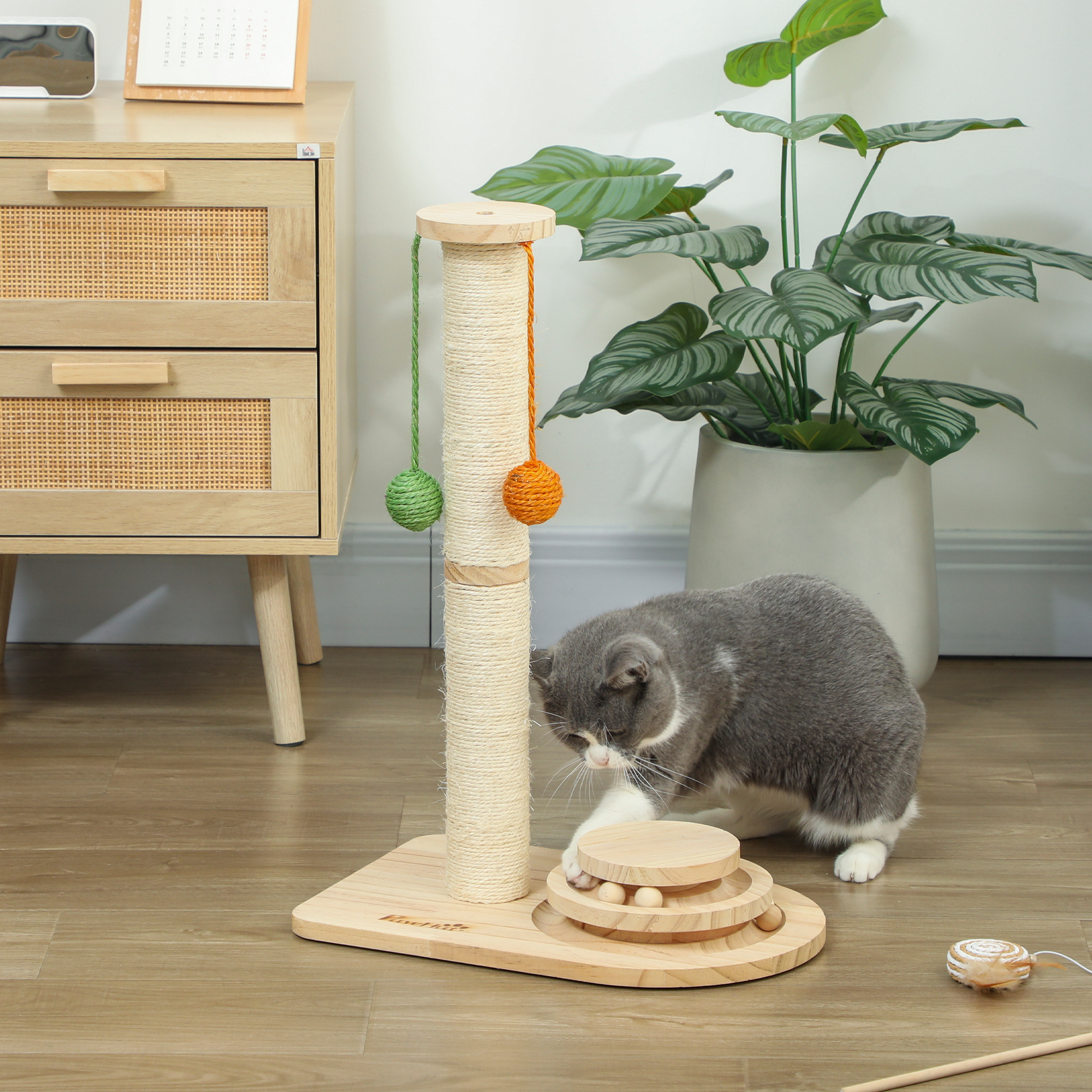Un gato juega con un rascador y juguetes en un suelo de madera.
