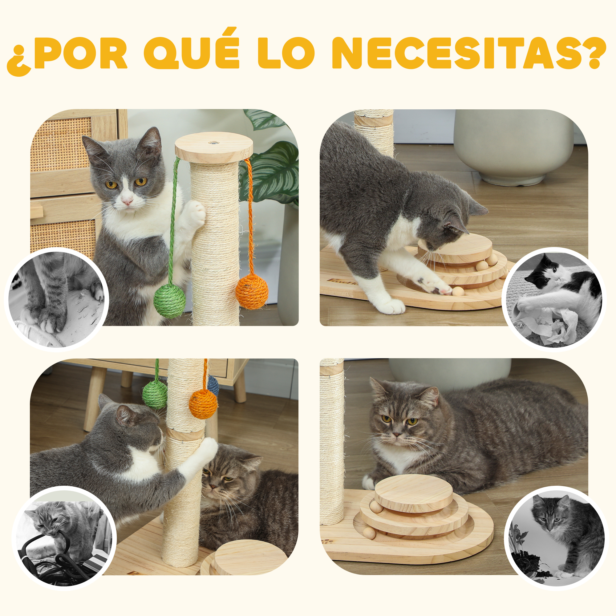 Cuatro collages con gatos y juguetes.