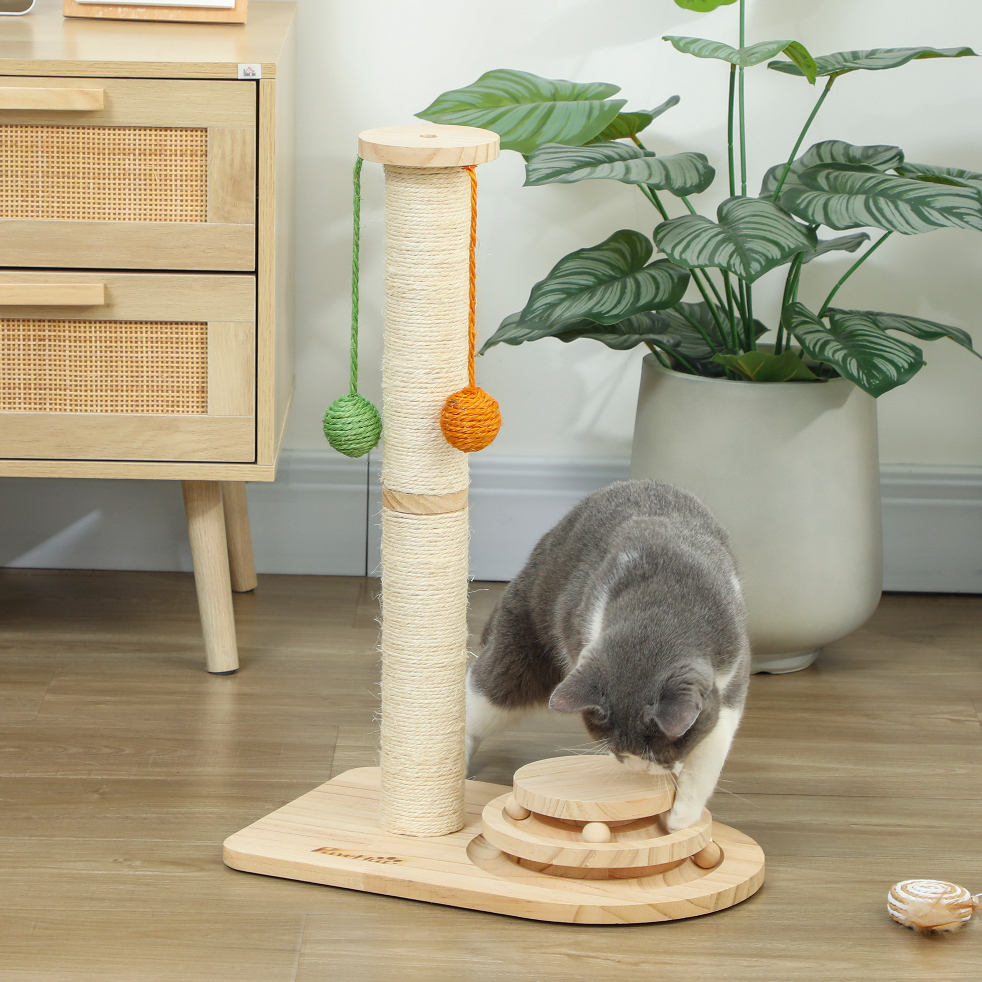 Gato gris juega con rascador de madera con bolas, planta al lado.