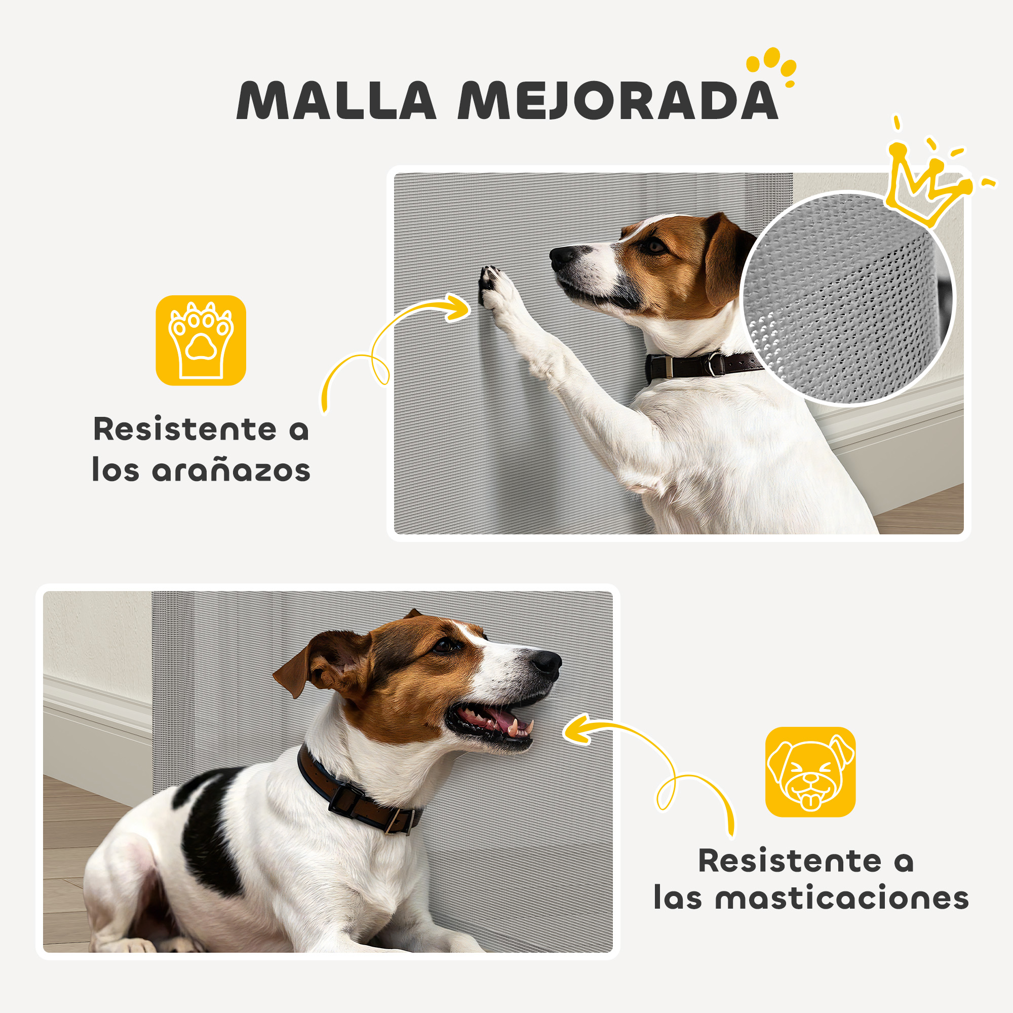 Un perro con pelaje marrón y blanco toca una malla gris con la pata.