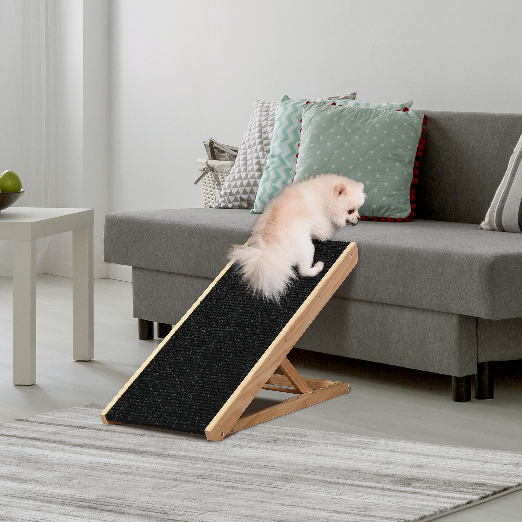 Un perro Pomerania sube una rampa de madera con superficie de alfombra negra.