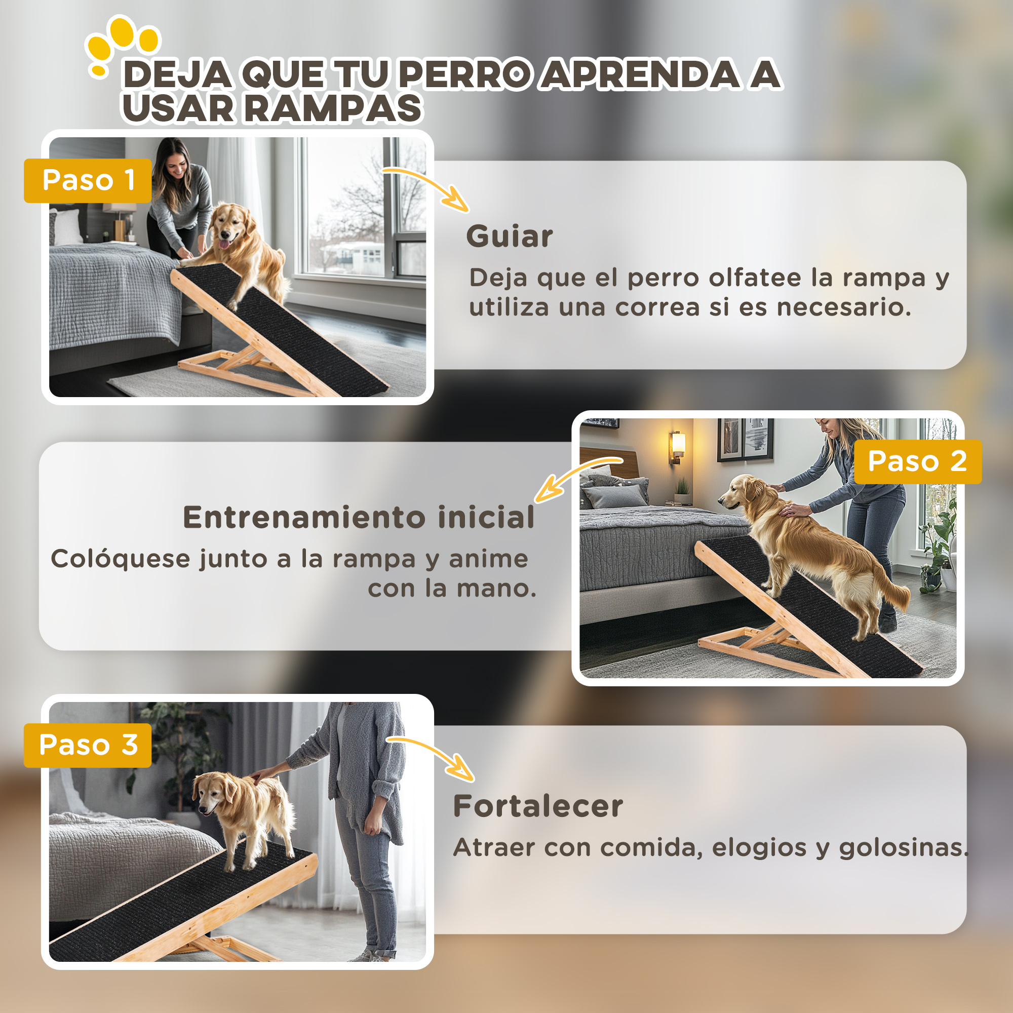 Paso 1: Perro aprende a usar rampa. Paso 2: Guiar perro en rampa. Paso 3: Recompensar perro.