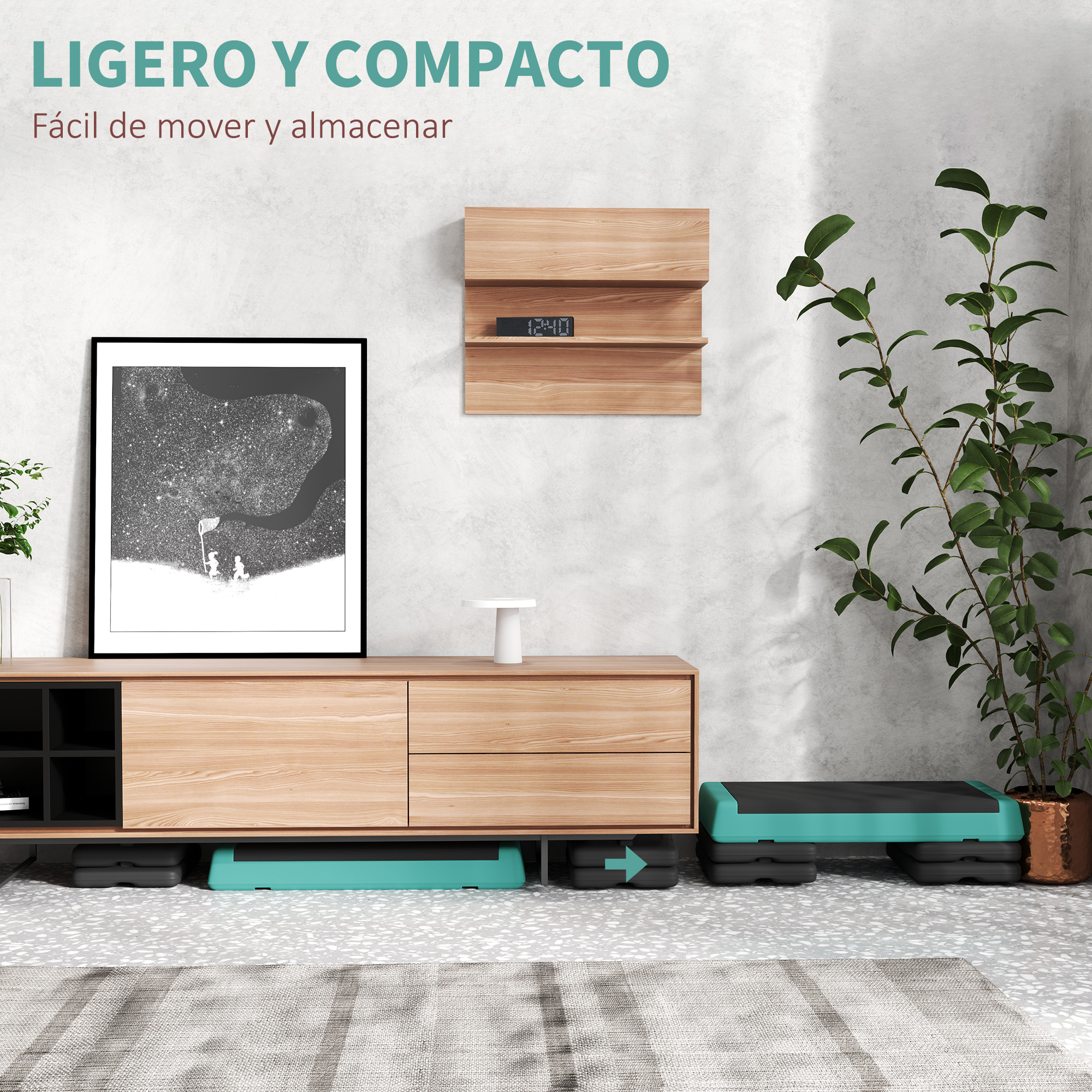 Un mueble de madera con arte enmarcado, plantas y equipo de fitness.