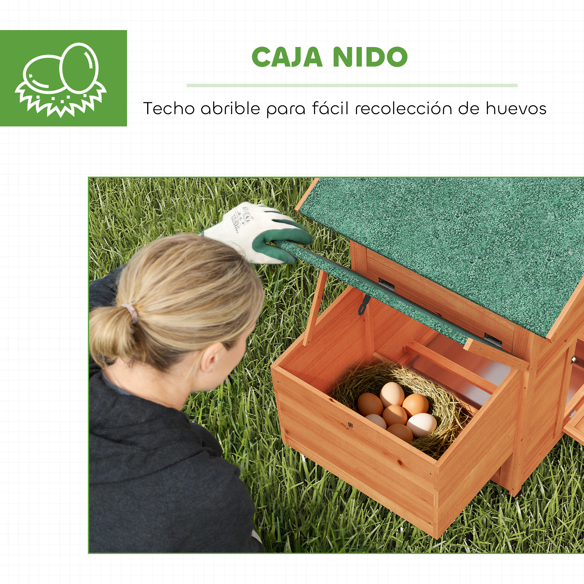 Una mujer con guantes levanta la tapa de una caja nido de madera para recoger huevos.