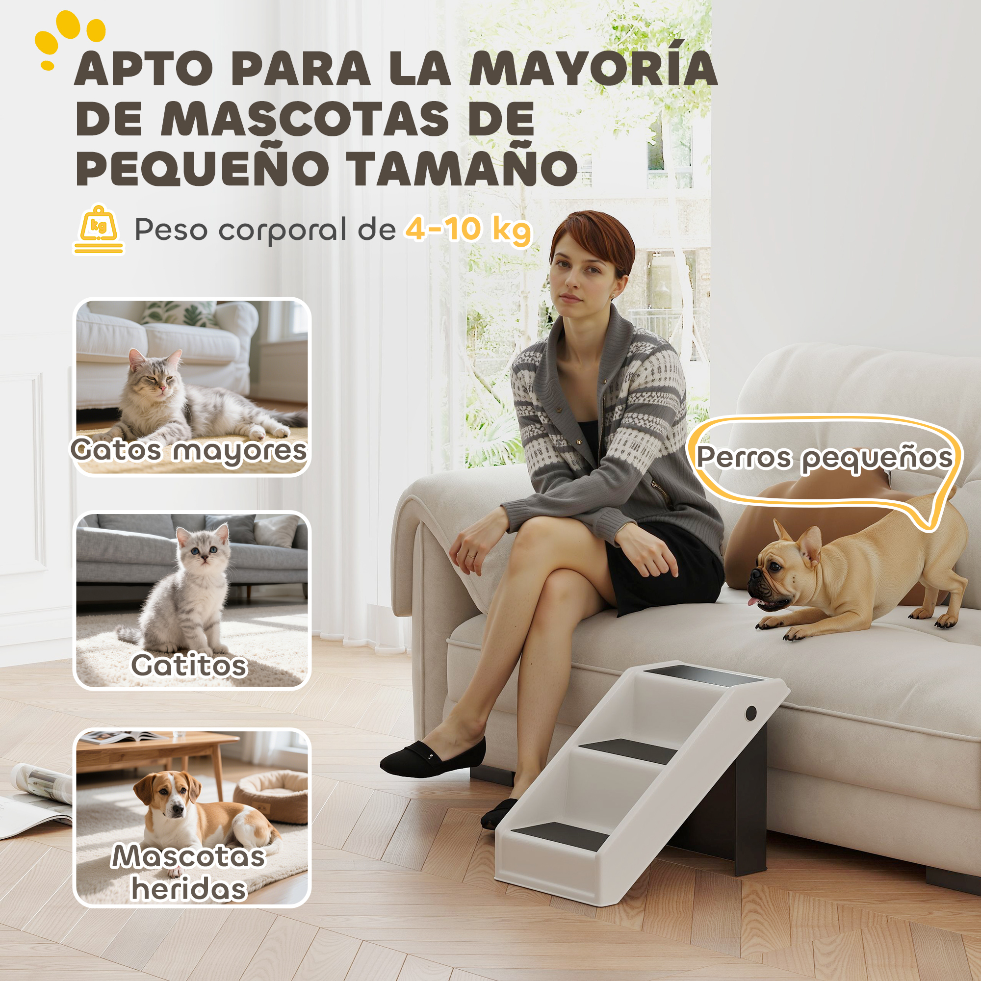 Mujer sentada en sofá junto a perro y escaleras. Gatos y perro en fotos.