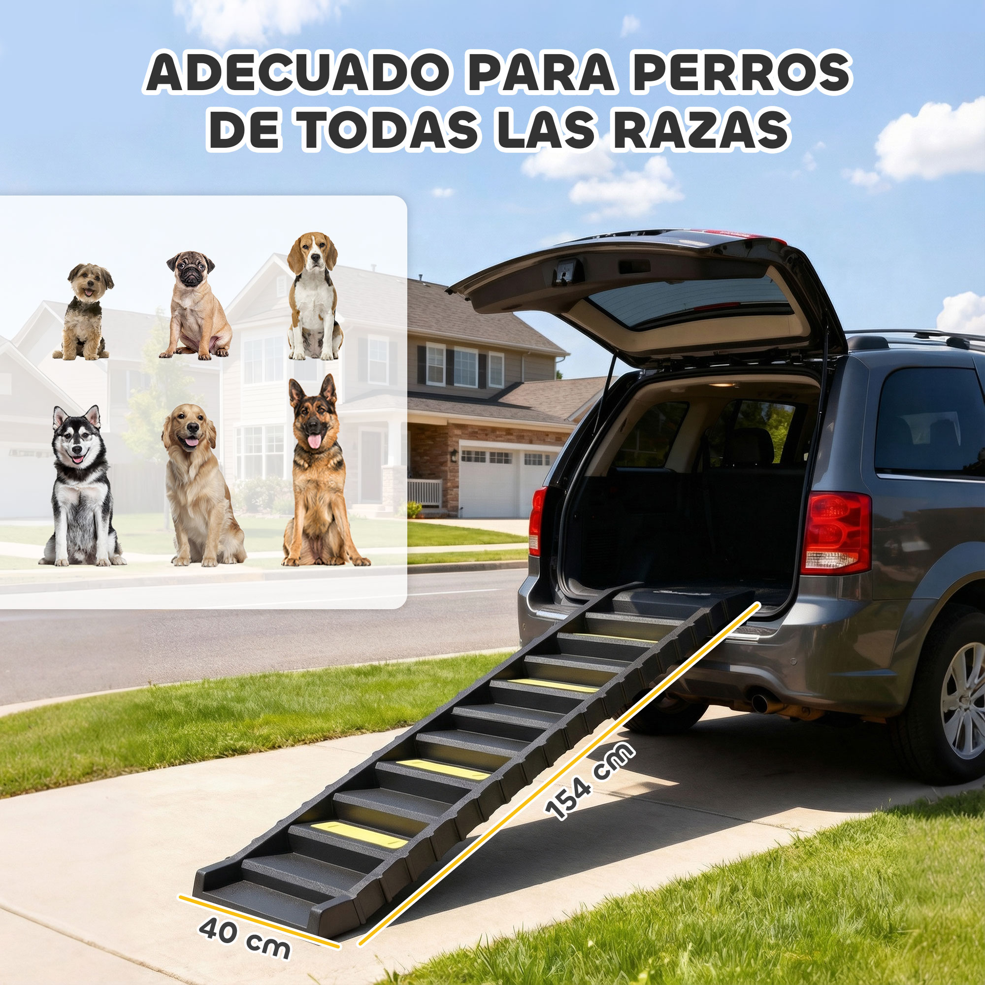 Rampa para perros junto a un coche con maletero abierto, con varios perros al lado.