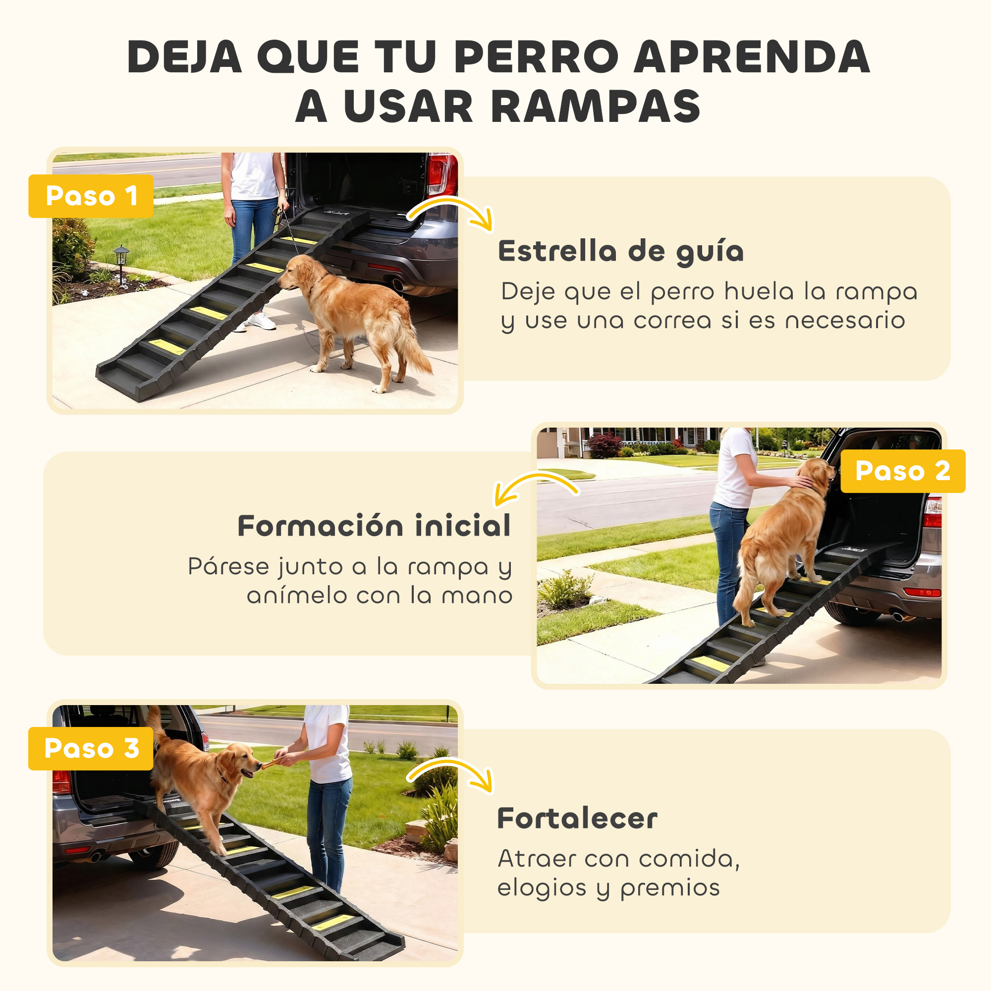 Un perro aprende a usar una rampa para subir al coche, paso a paso.