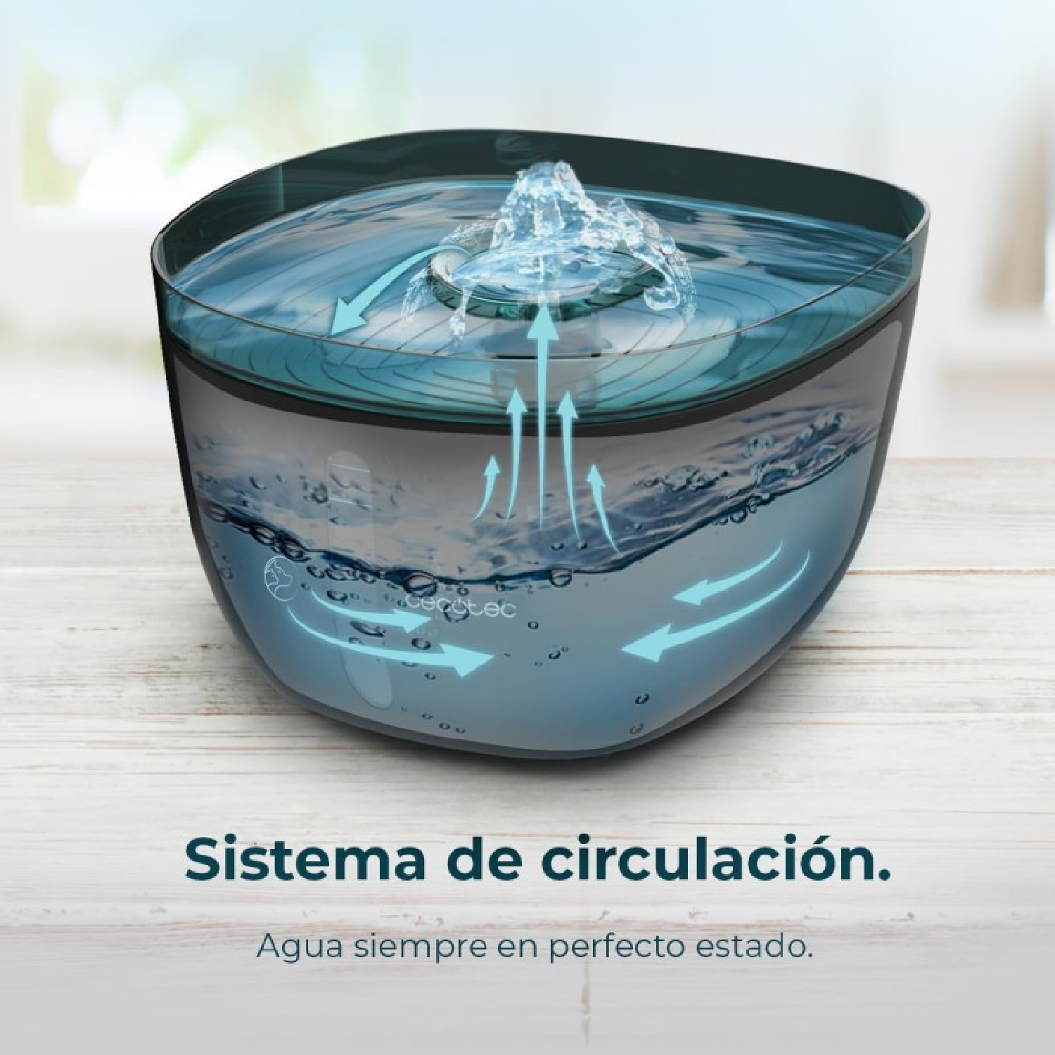 Un recipiente de agua muestra flujo de circulación con flechas.