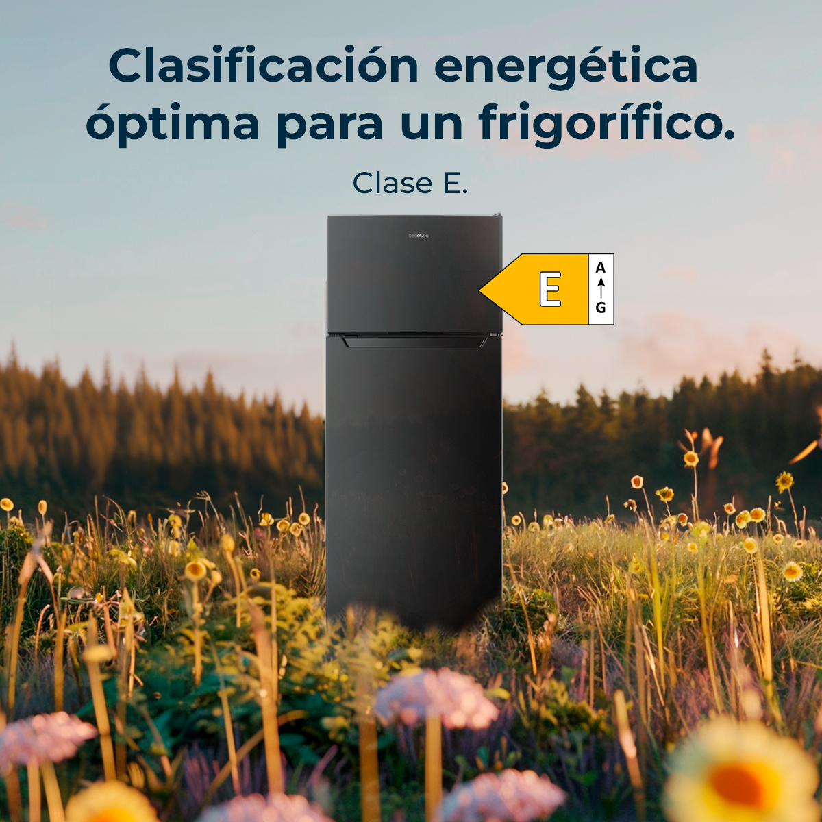 Frigorifero nero all'aperto con classe di efficienza energetica E in un campo di fiori.
