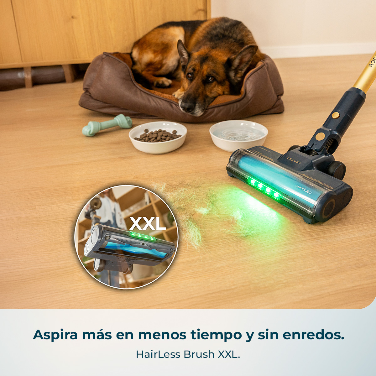 Un cane riposa nella sua cuccia. Un aspirapolvere pulisce il pavimento con luci verdi.