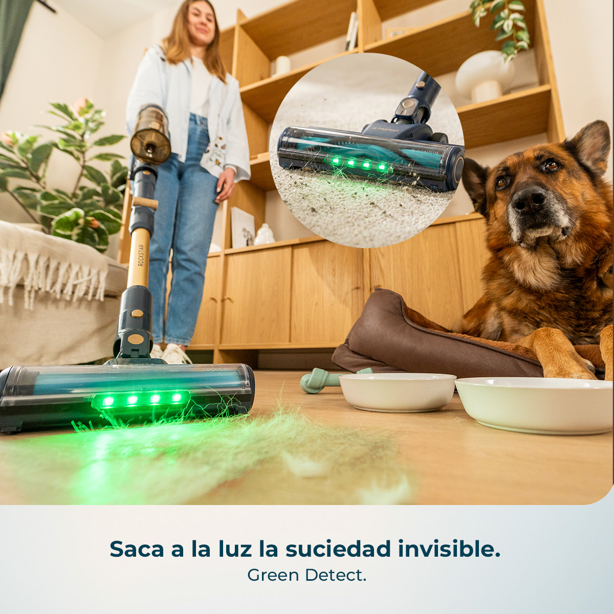 Donna aspira pavimento con luce verde; cane guarda.