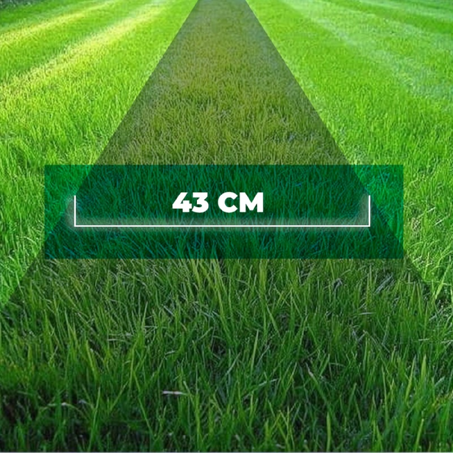 Césped verde con una marca de 43 cm