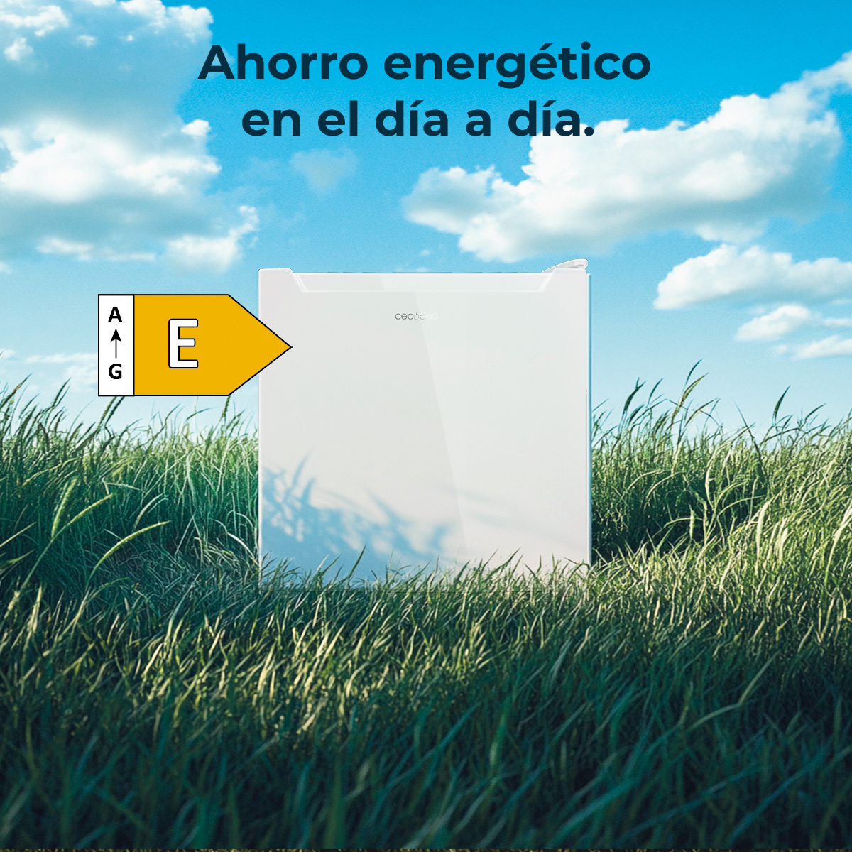Un frigorifero bianco classe E si trova sull'erba.