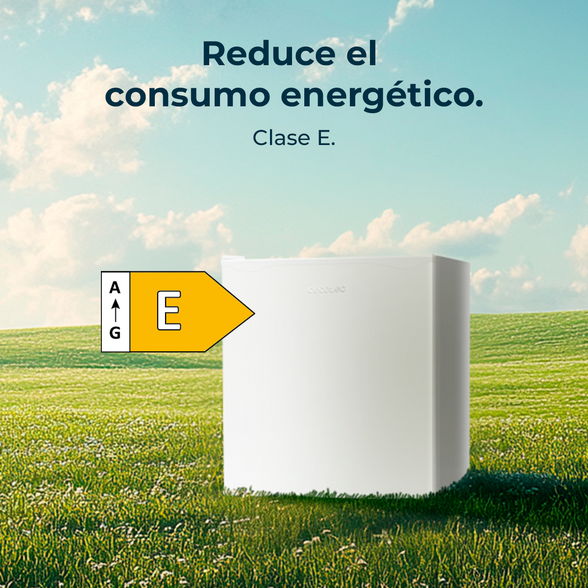 Biała lodówka o klasie energetycznej E na zielonej łące.