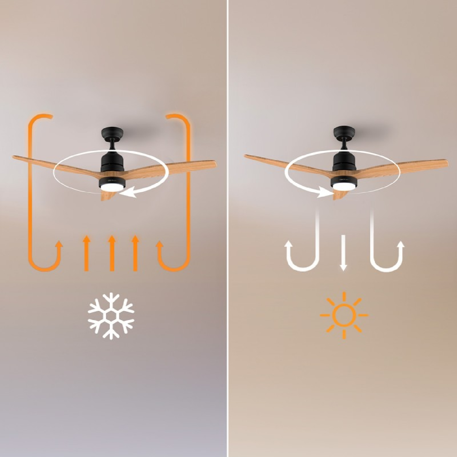 Ventilatore da soffitto con pale in legno in modalità estate e inverno.