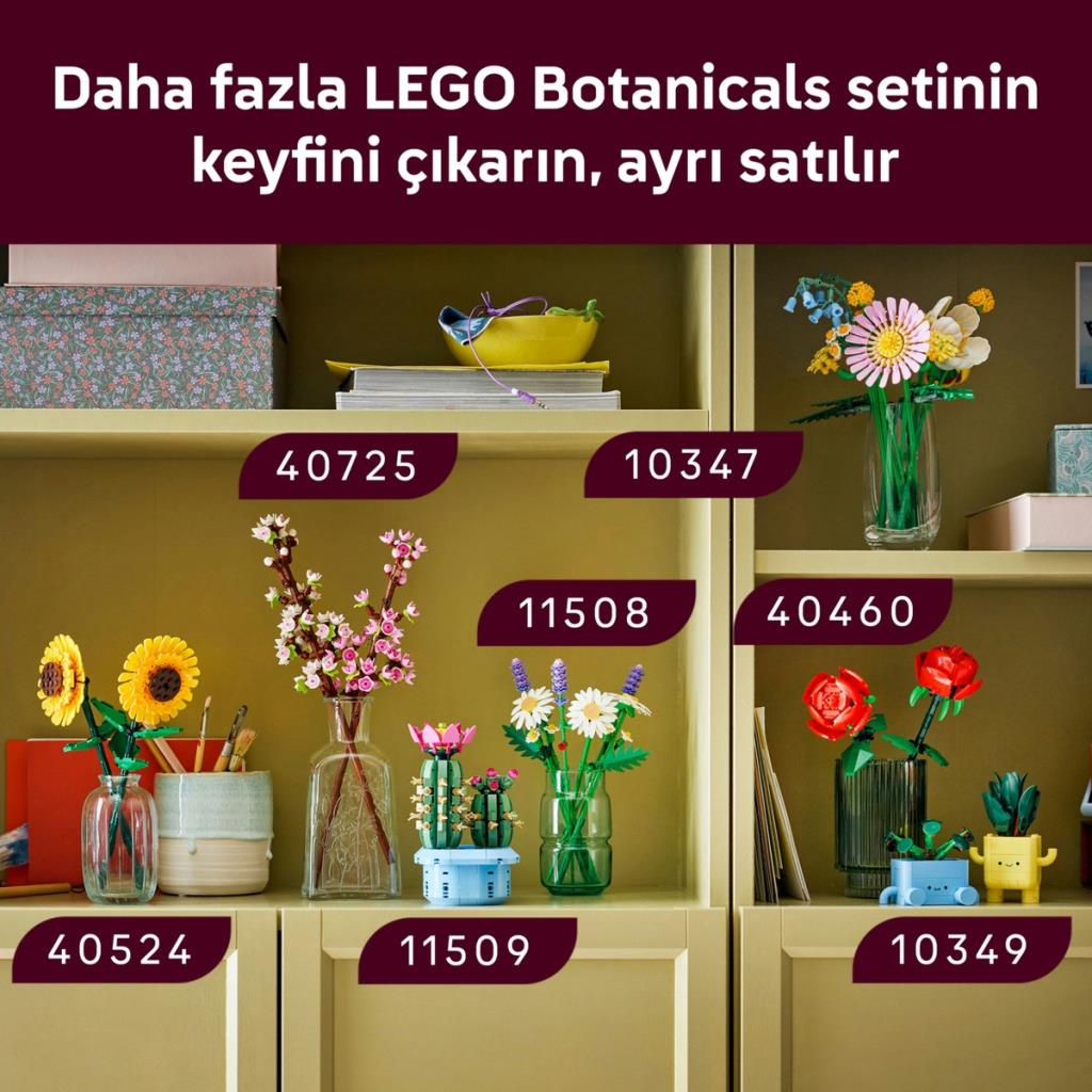 LEGO Botanicals Setleri: Ayçiçekleri, kiraz çiçekleri, kaktüs, papatyalar, kırmızı güller.
