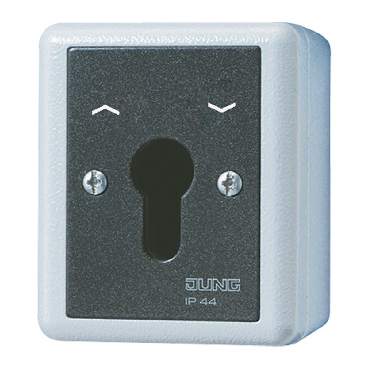 Interruttore a chiave JUNG IP44 grigio con serratura e frecce.