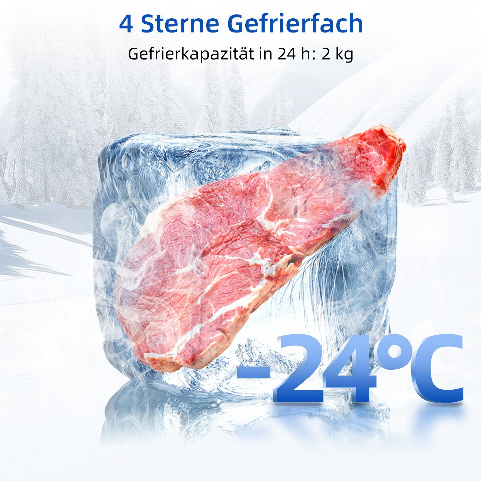 Vlees in een ijsblok, 4-sterren vriezer, -24°C