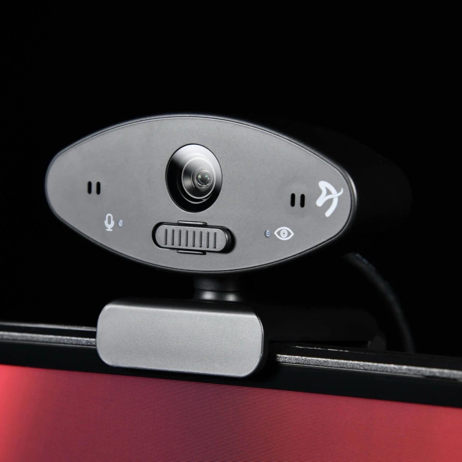 Una webcam grigia con obiettivo e icona microfono è posta su un monitor.