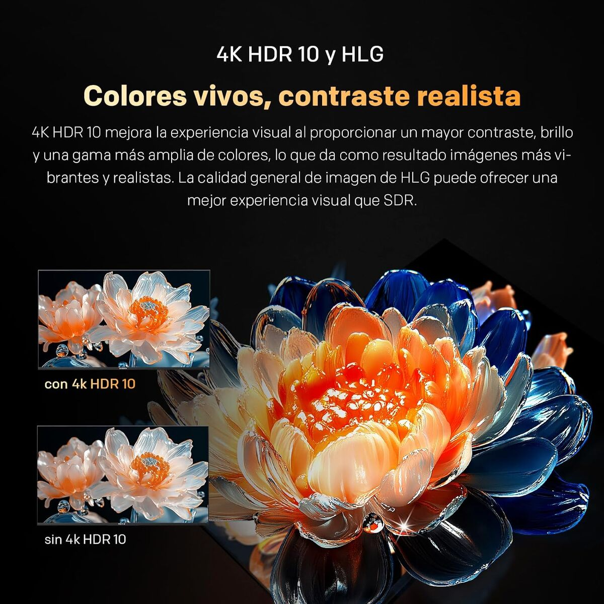 Un motivo floral con comparación y descripción de 4K HDR 10.