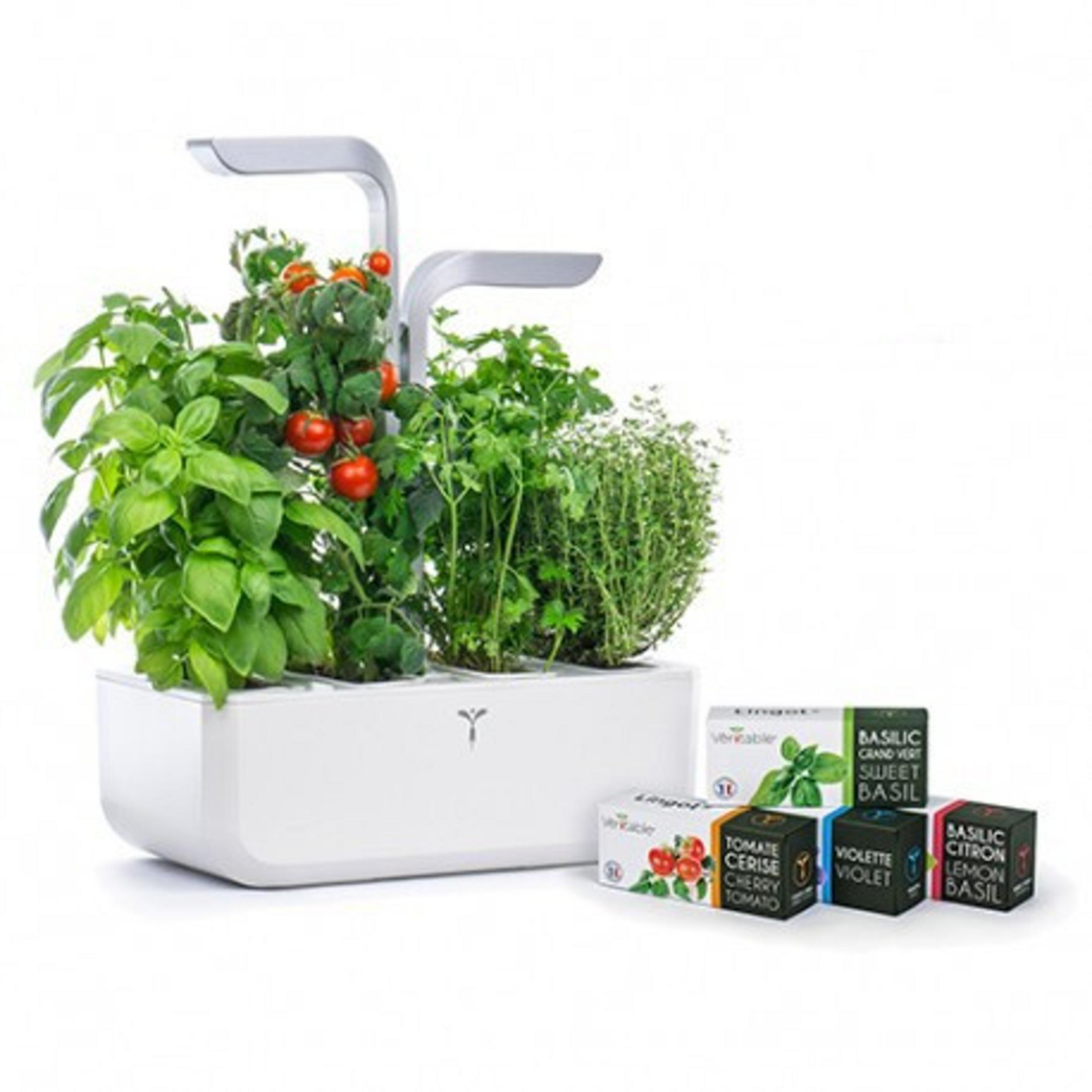 Un sistema da giardino indoor bianco con piante e capsule di semi.
