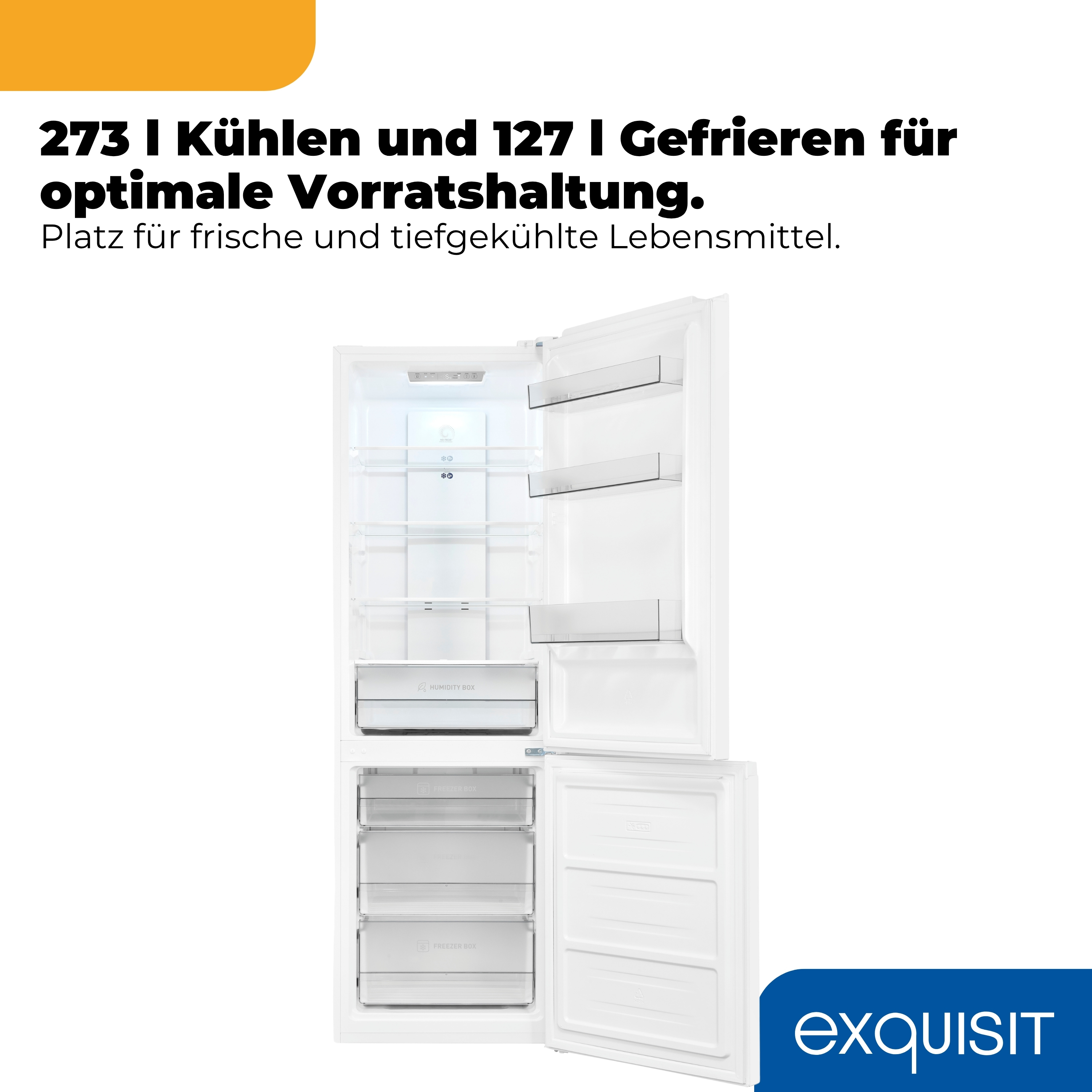 Ein weißer Kühlschrank mit geöffneter Tür. Oben sind Regale, unten Gefrierfächer.