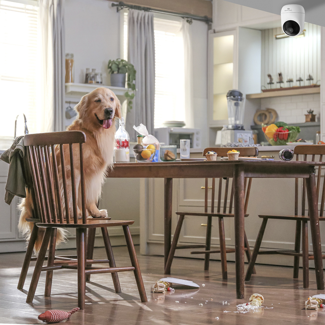 Golden Retriever siedzi na krześle w zabałaganionej kuchni.