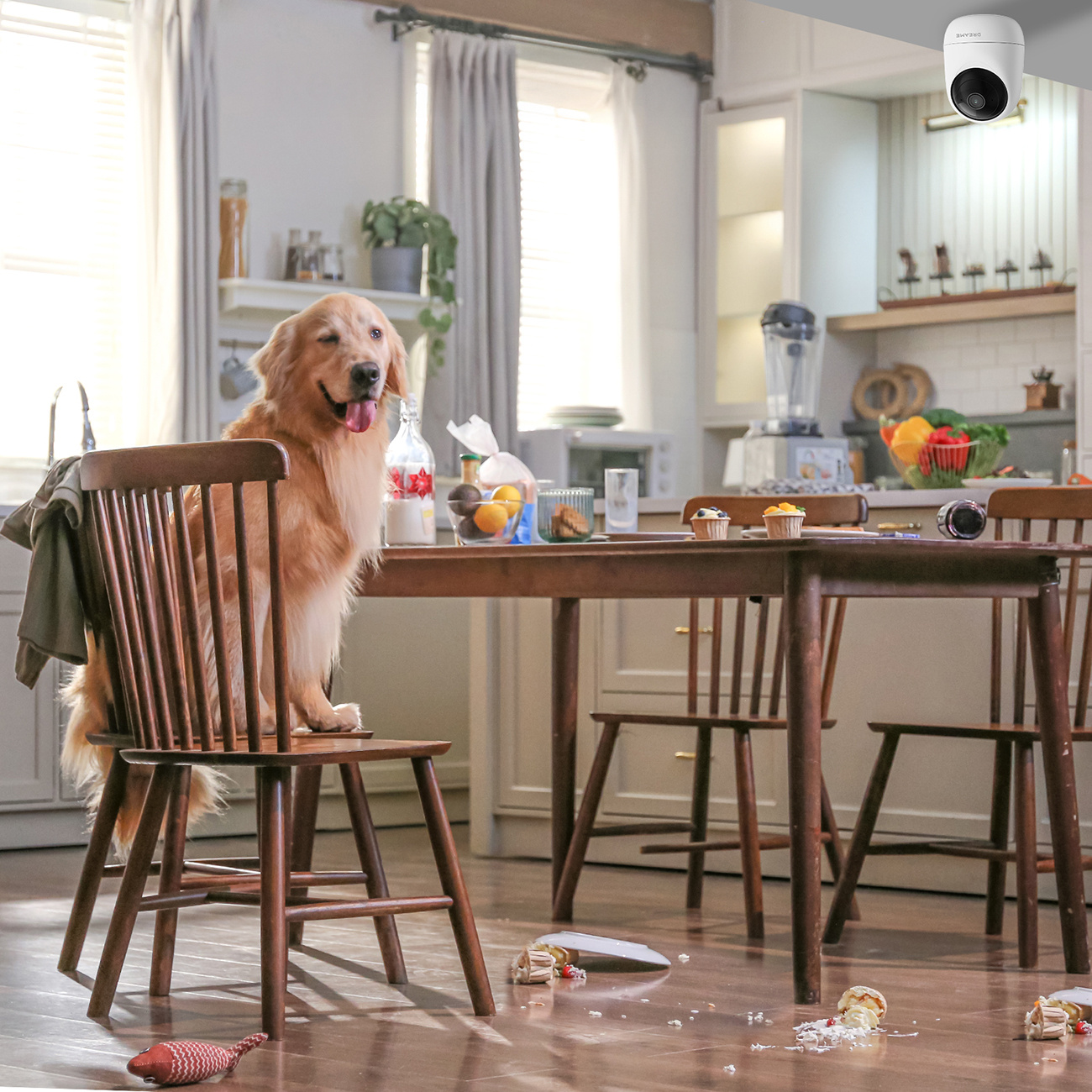 Golden Retriever siedzi na krześle w kuchni z rozsypanymi resztkami jedzenia na podłodze.
