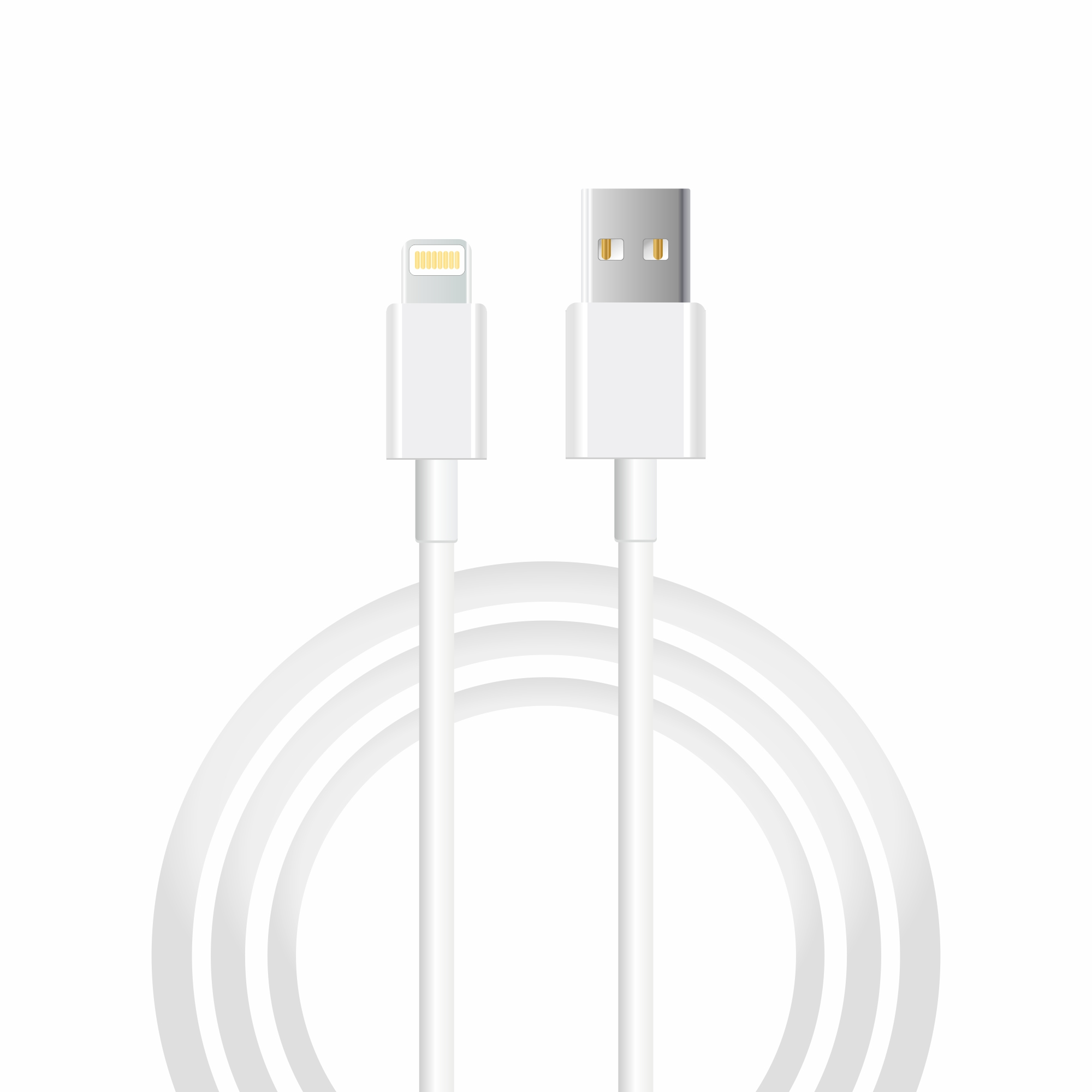 Beyaz USB'den Lightning'e kablo beyaz arka planda.
