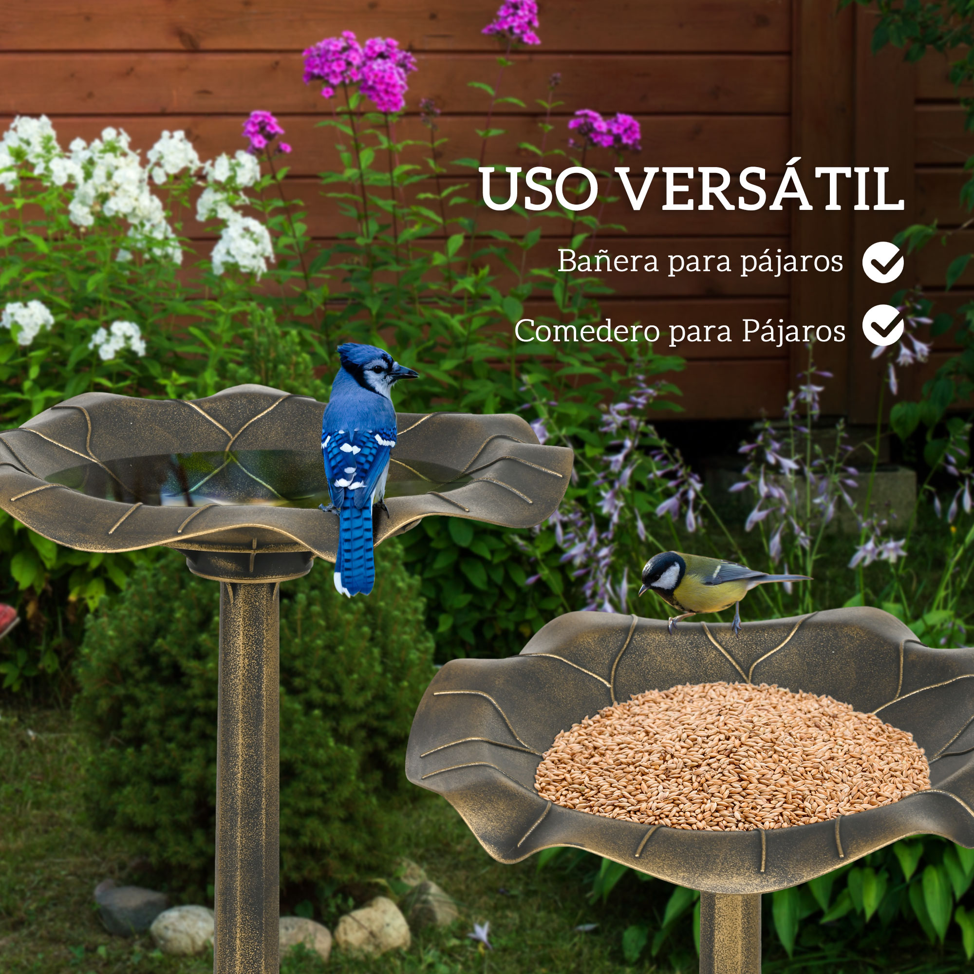 Un pájaro azul en un bebedero; otro picotea granos en un comedero. Entorno de jardín.