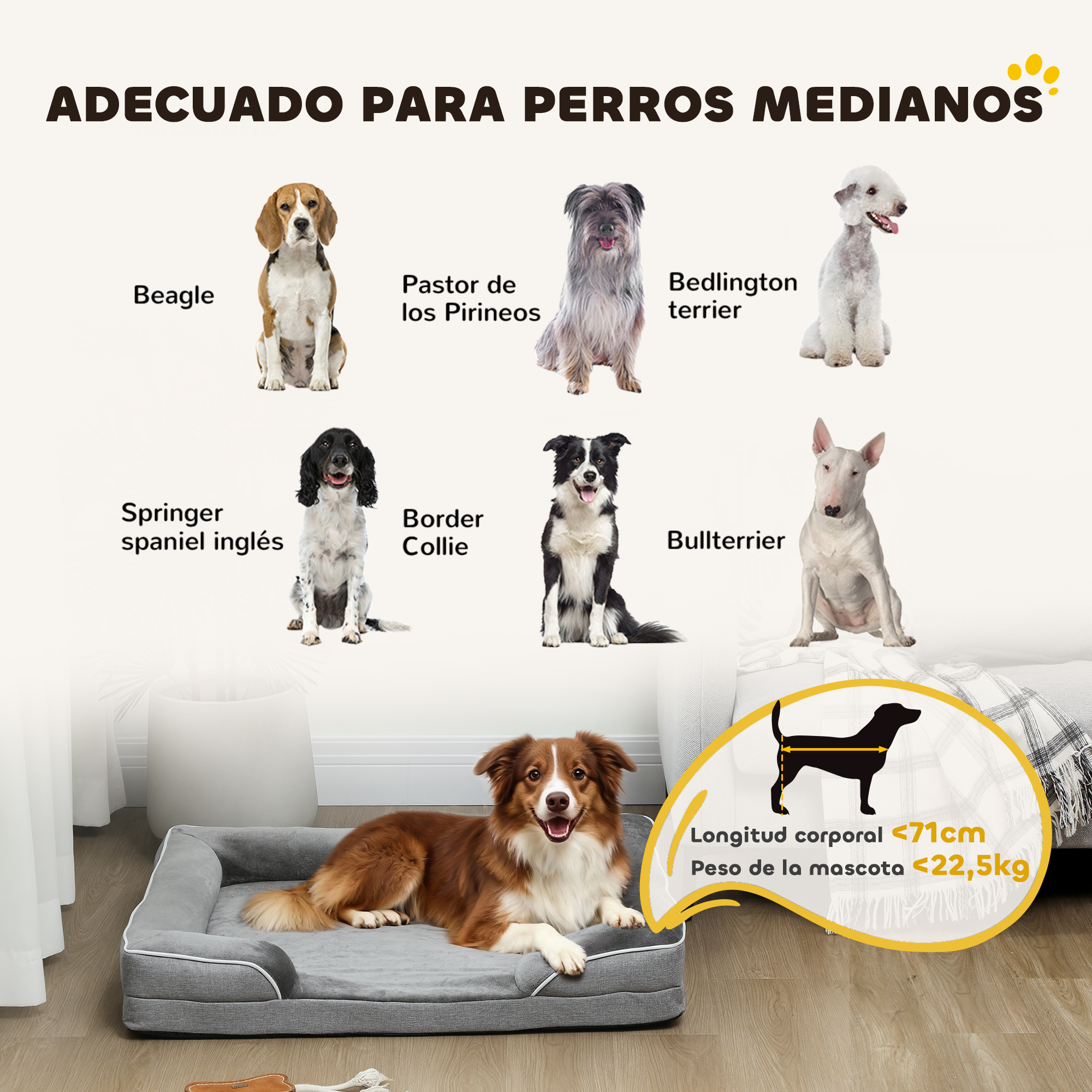 Se muestran varios perros aptos para perros medianos.