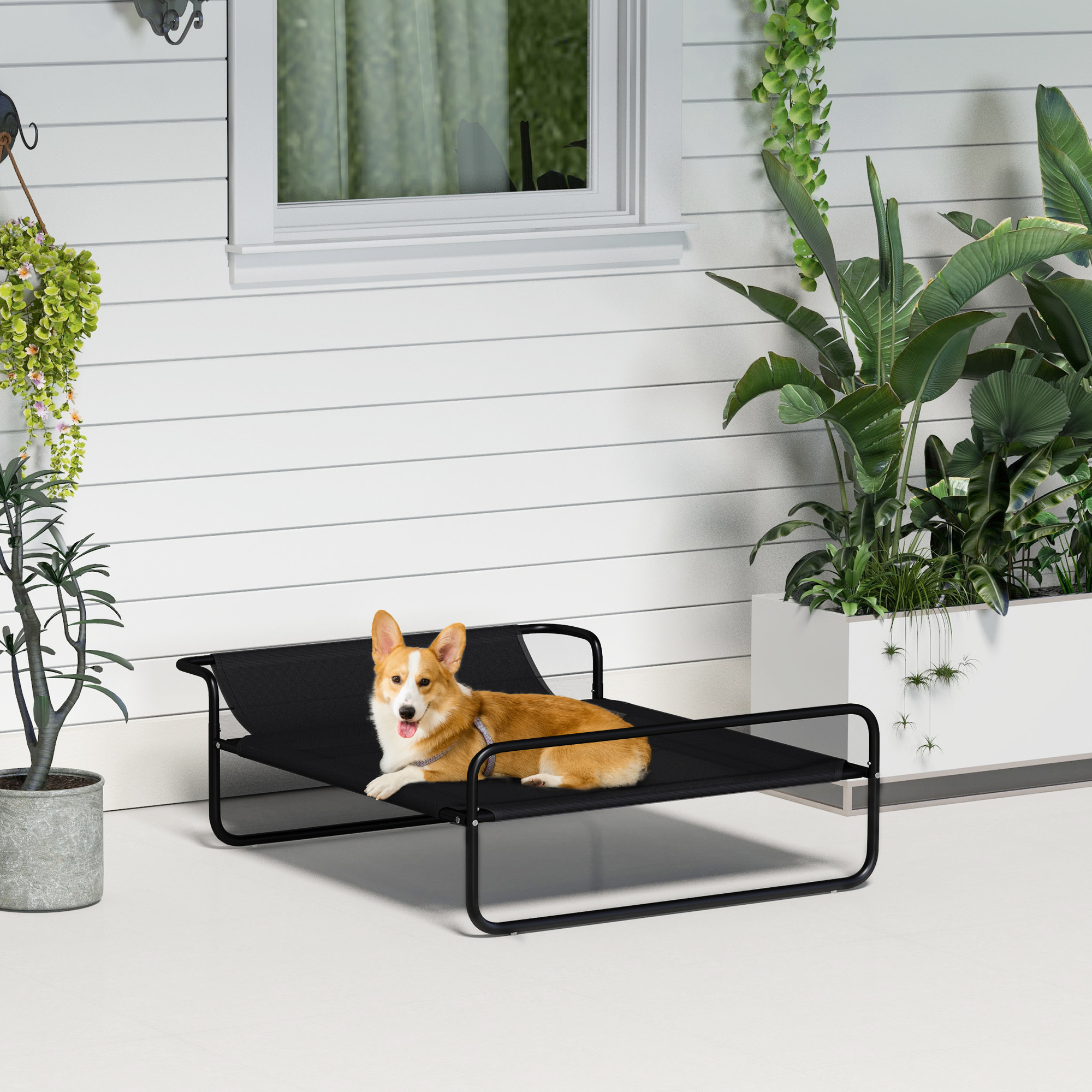 Un corgi descansa en una cama elevada negra para perros en un patio blanco. Grandes plantas verdes rodean la escena.