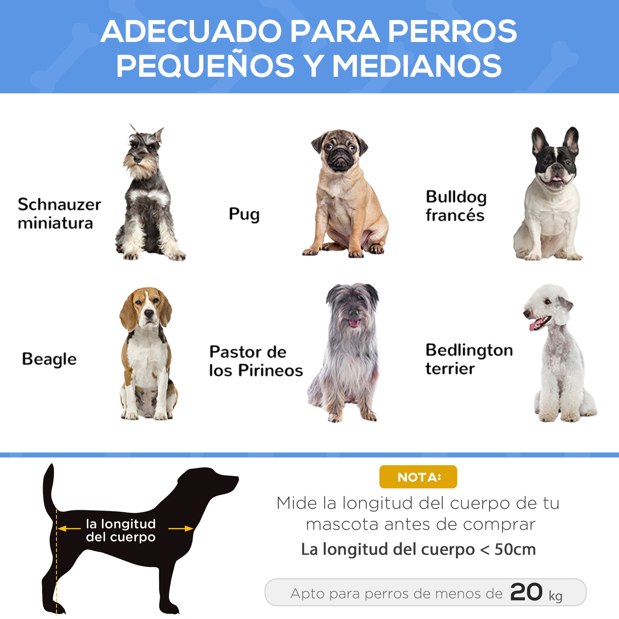 Razas de perros: Schnauzer miniatura, Pug, Bulldog francés, Beagle, Pastor de Pirineos.