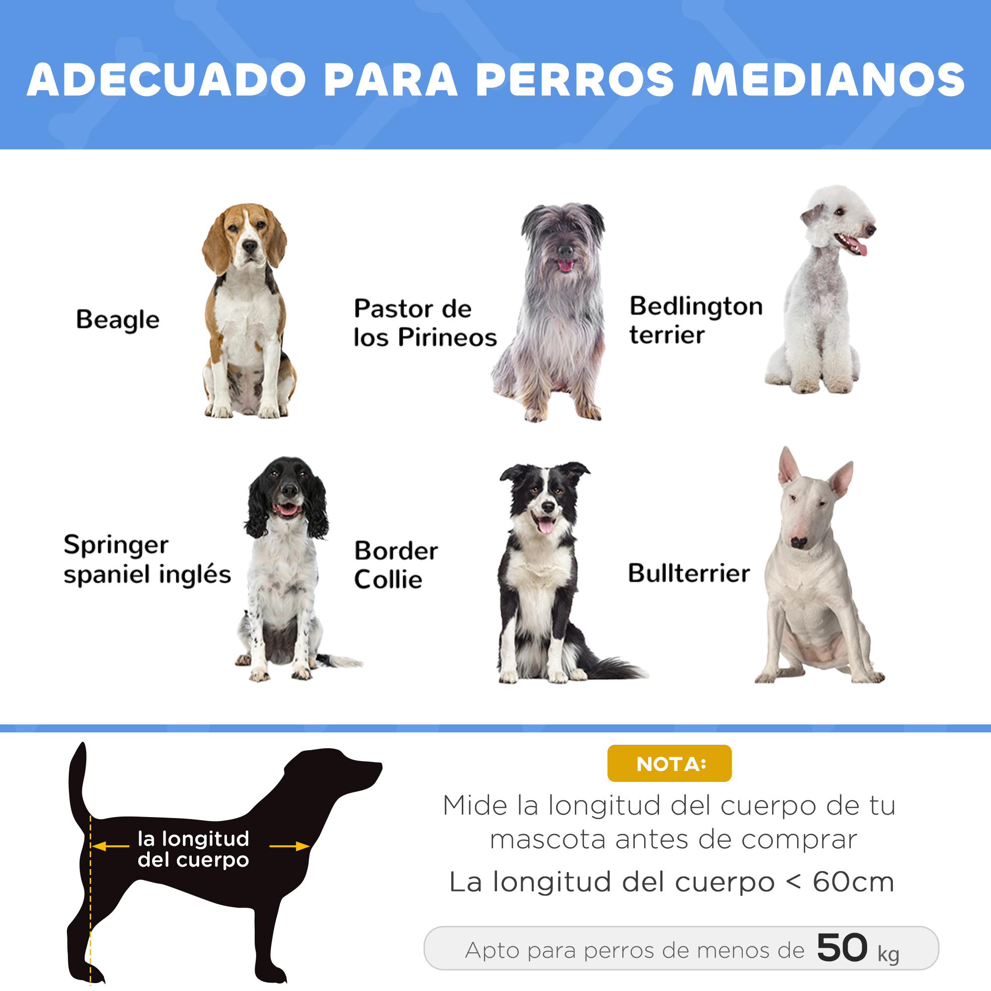 Seis razas de perros: Beagle, Pastor de Pirineos, Bedlington Terrier, Springer Spaniel, Border Collie, Bullterrier.
