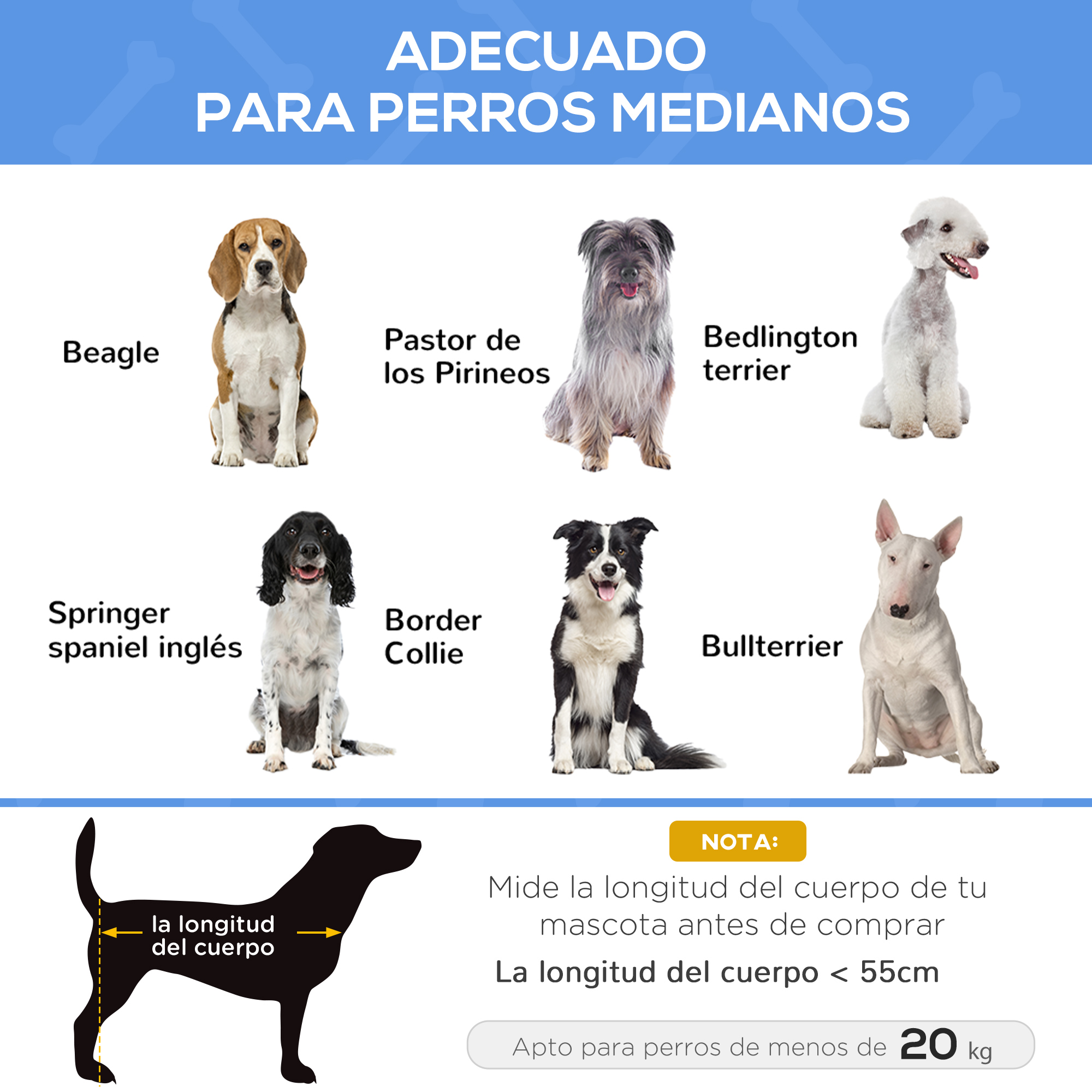 Seis perros de varias razas sentados, con texto sobre longitud corporal.