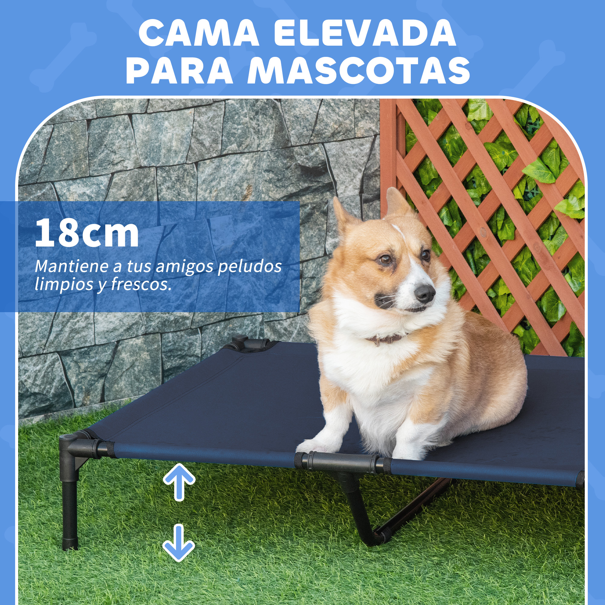 Un corgi se sienta en una cama elevada para mascotas frente a un muro de piedra y valla.